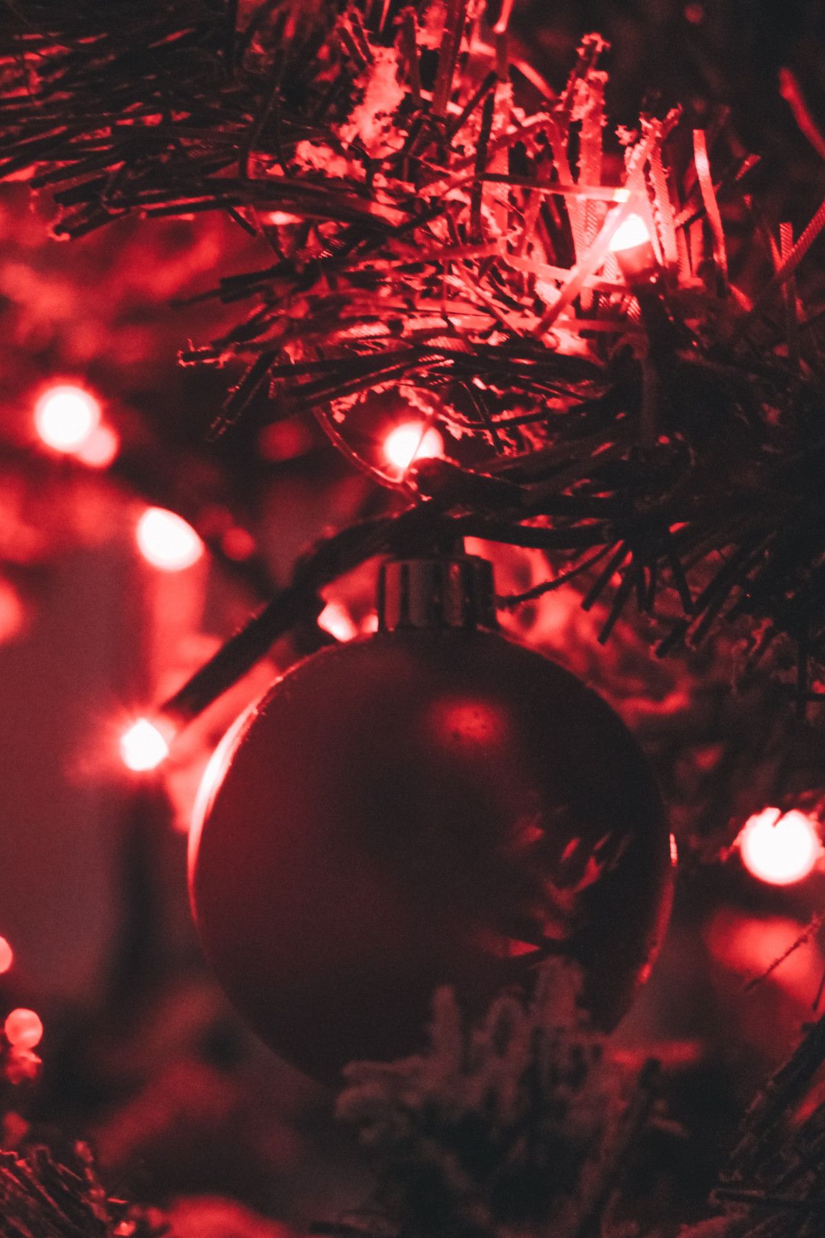 Free Image : red, christmas ornament