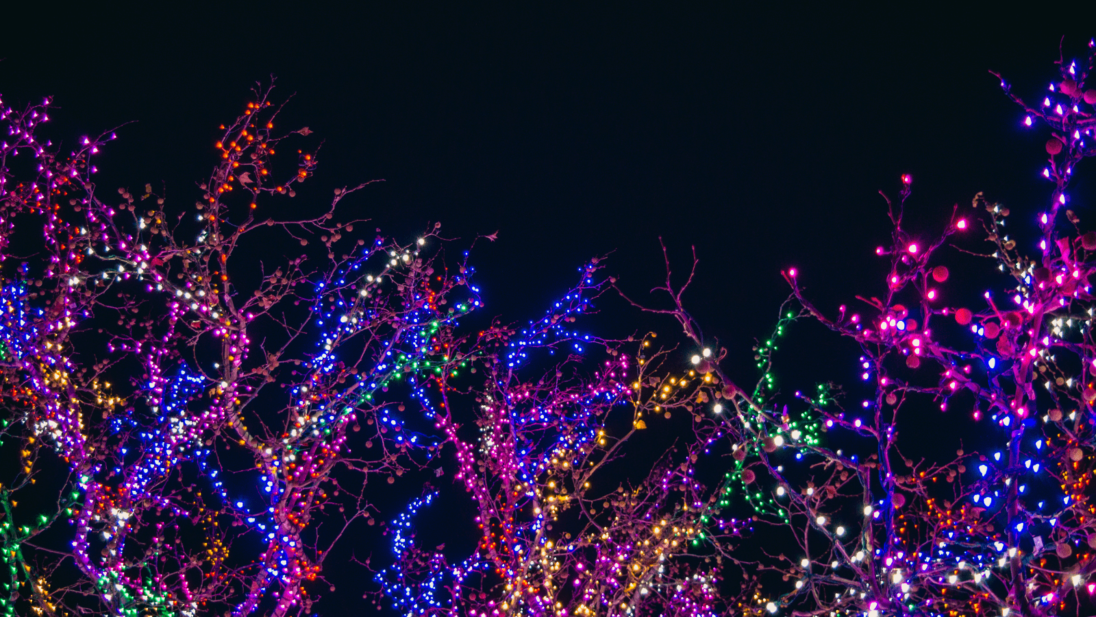 Christmas Lights at Dunham Massey