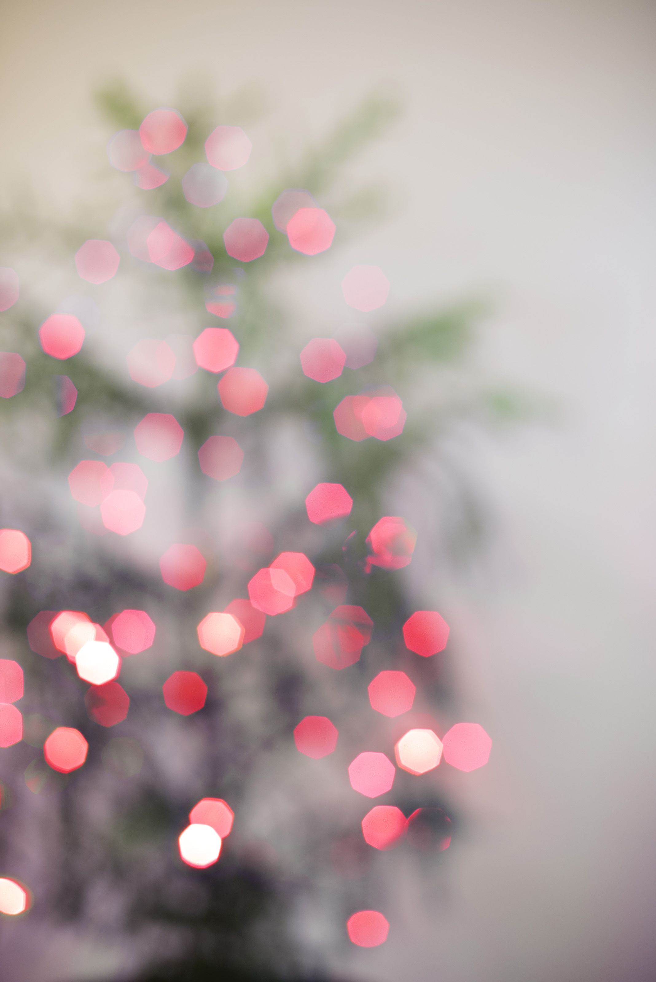 Free image of out of focus red tree lights