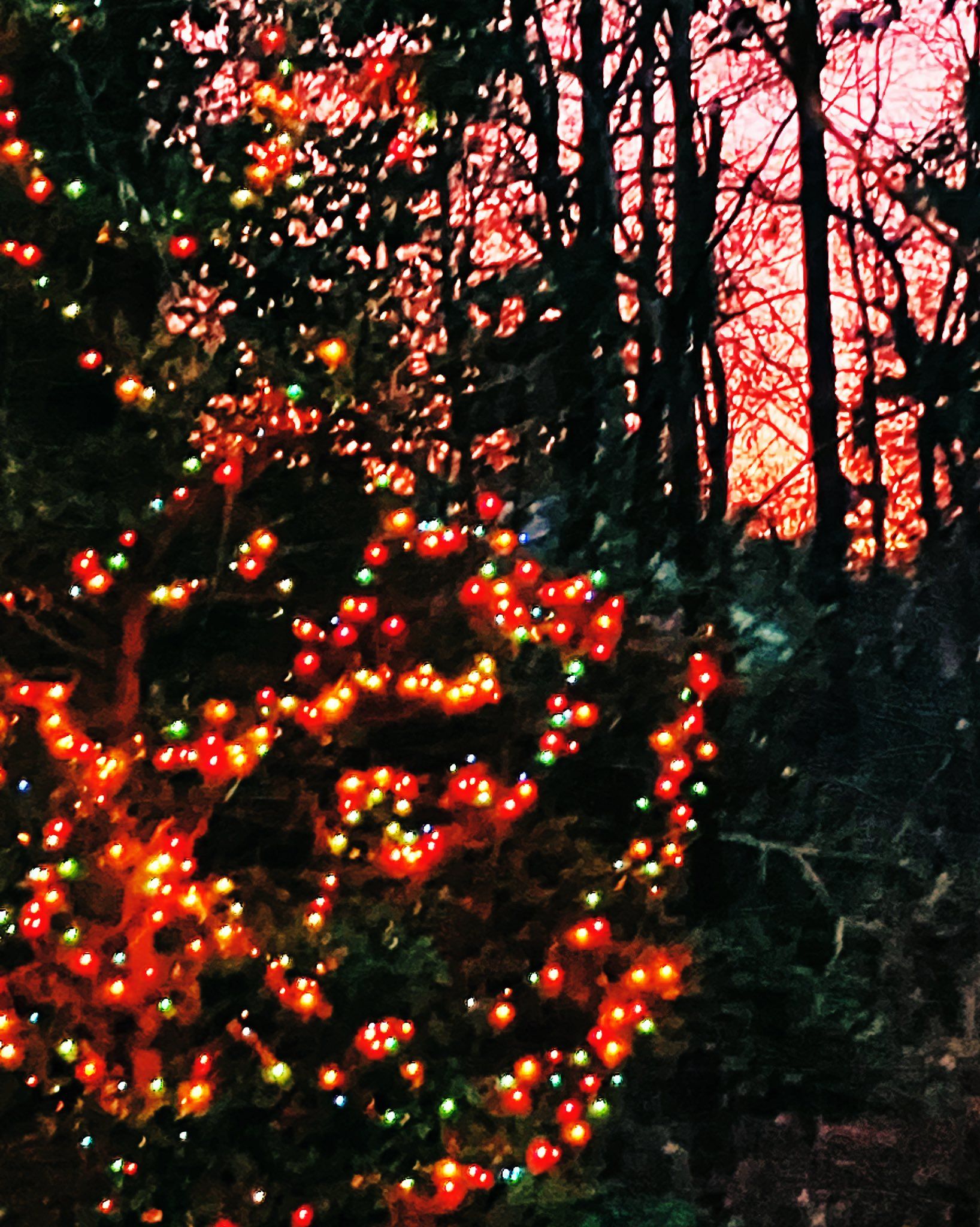 Sunset by the Christmas lights