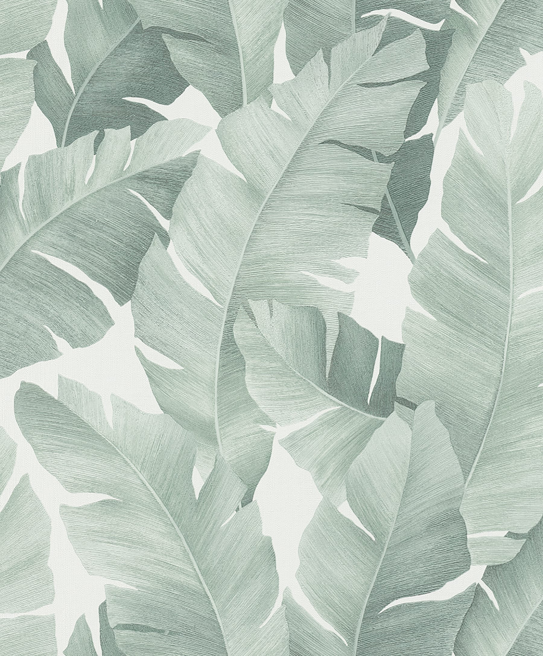 Marburg Attalea Green Palm Leaf Wallpaper at Lowes.com