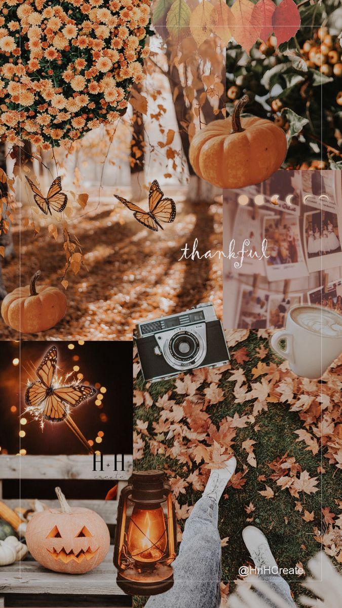 Fall Wallpaper