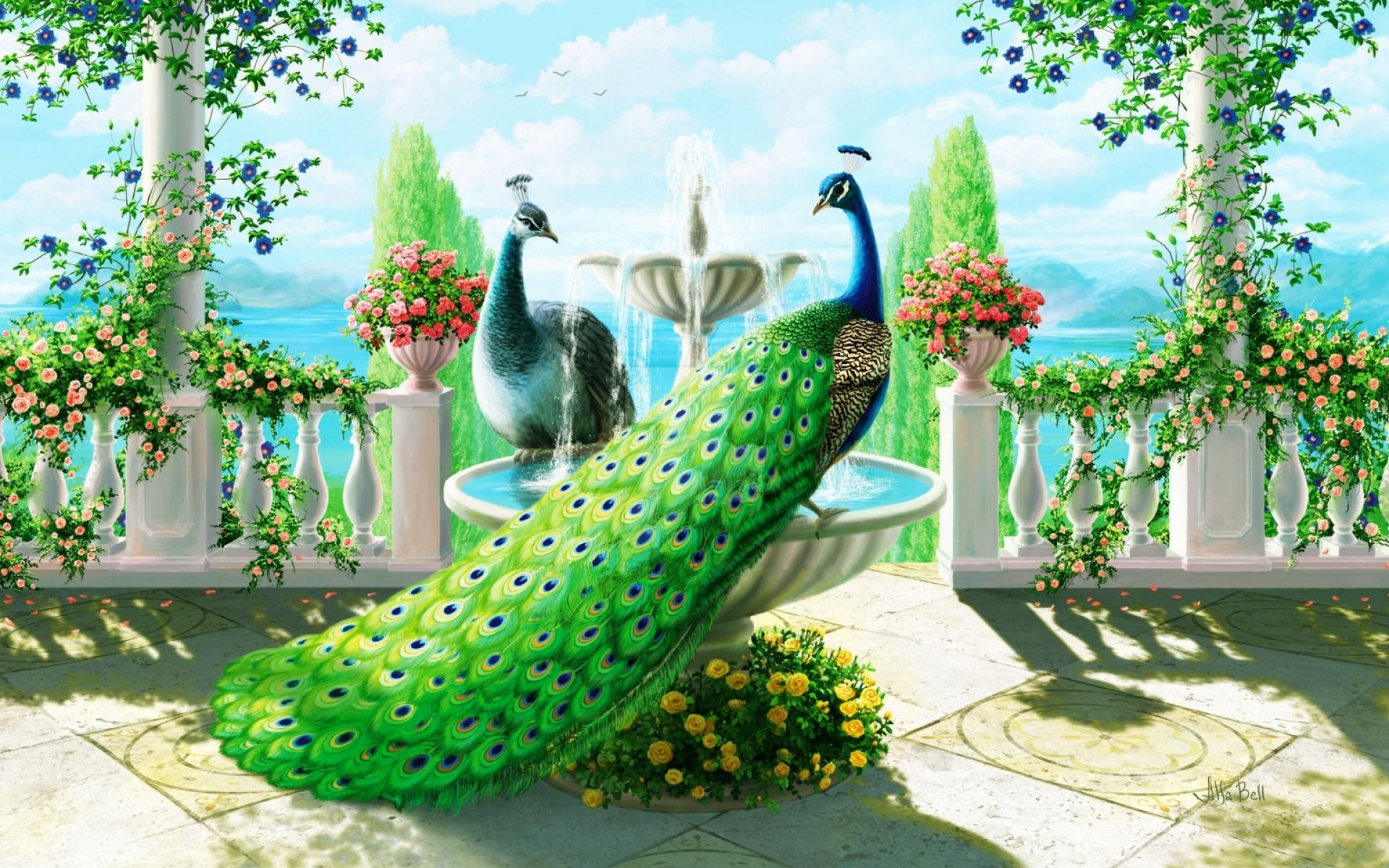 Peacock Garden HD Wallpaper