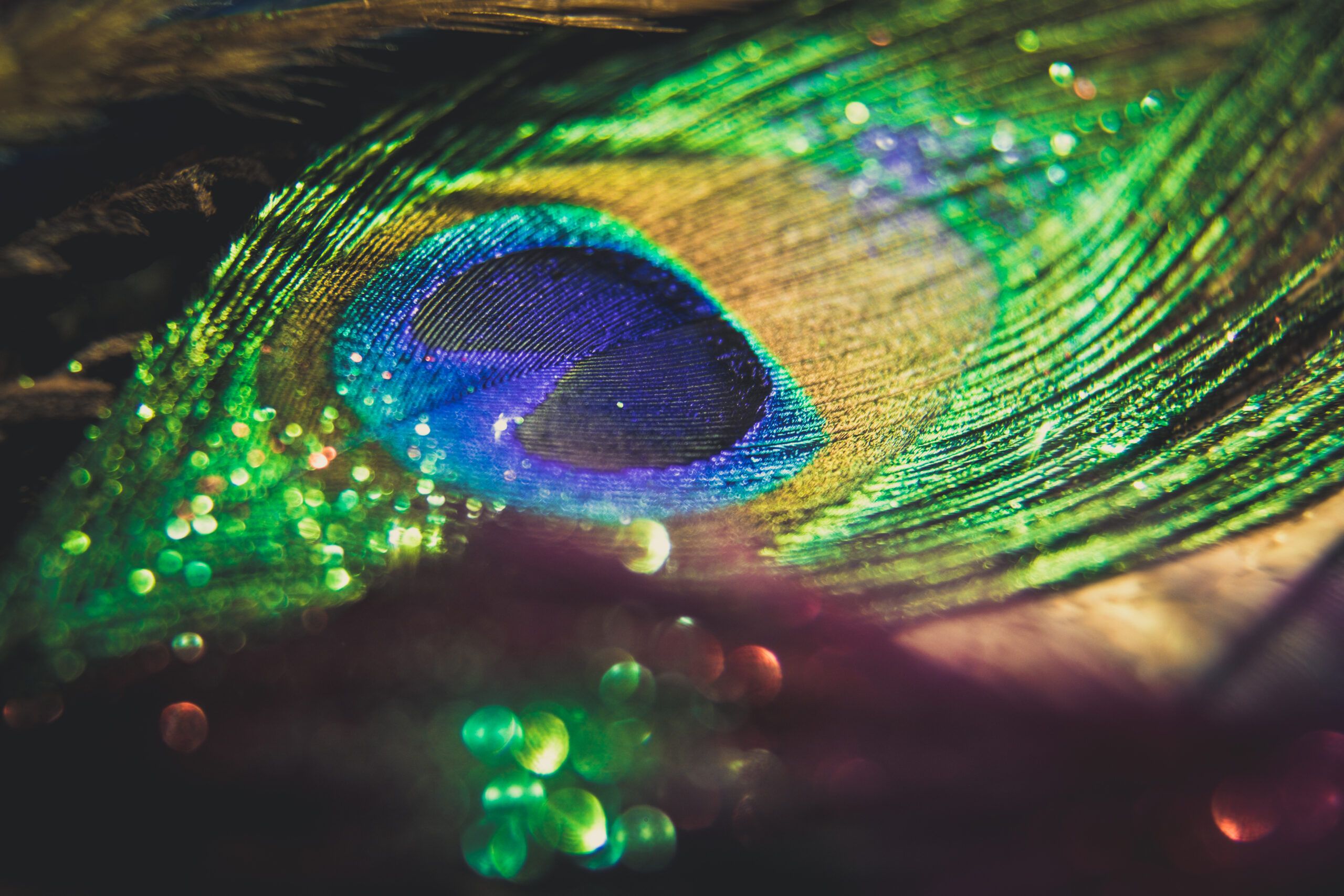 The Peacock Principle: Beauty, God