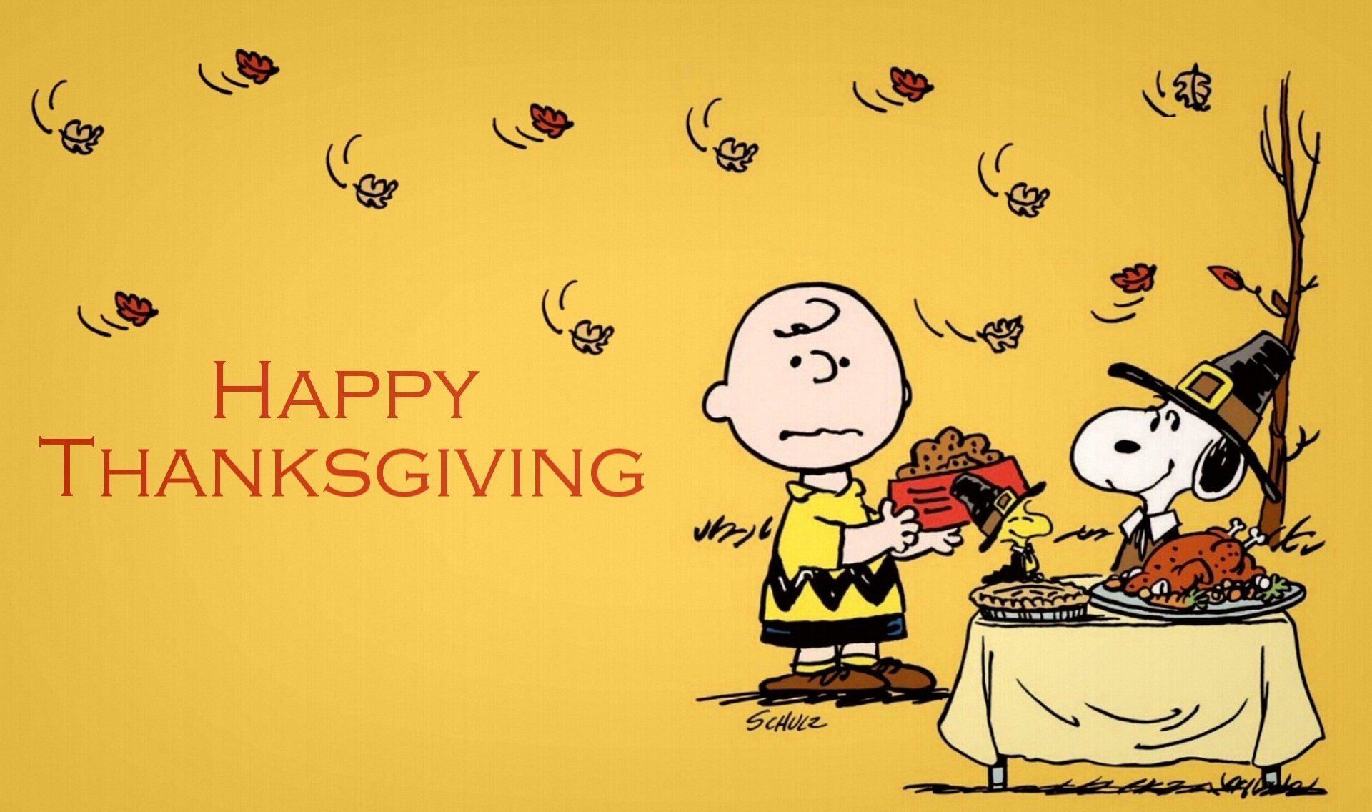 Charlie Brown Thanksgiving Wallpaper