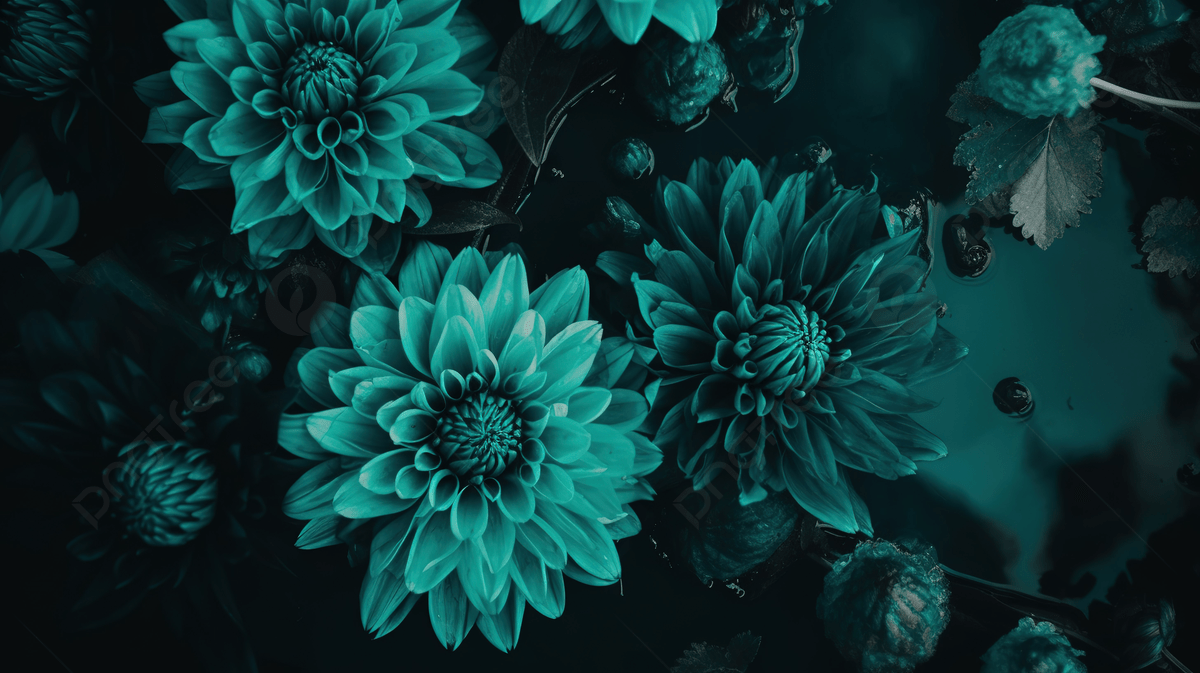 Black Flower Backdrop With Teal Flowers