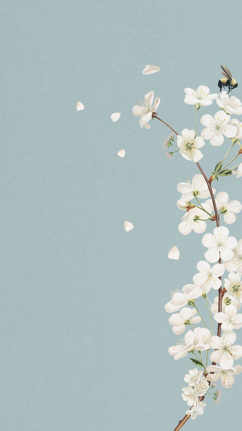 Floral iPhone Wallpaper. Download