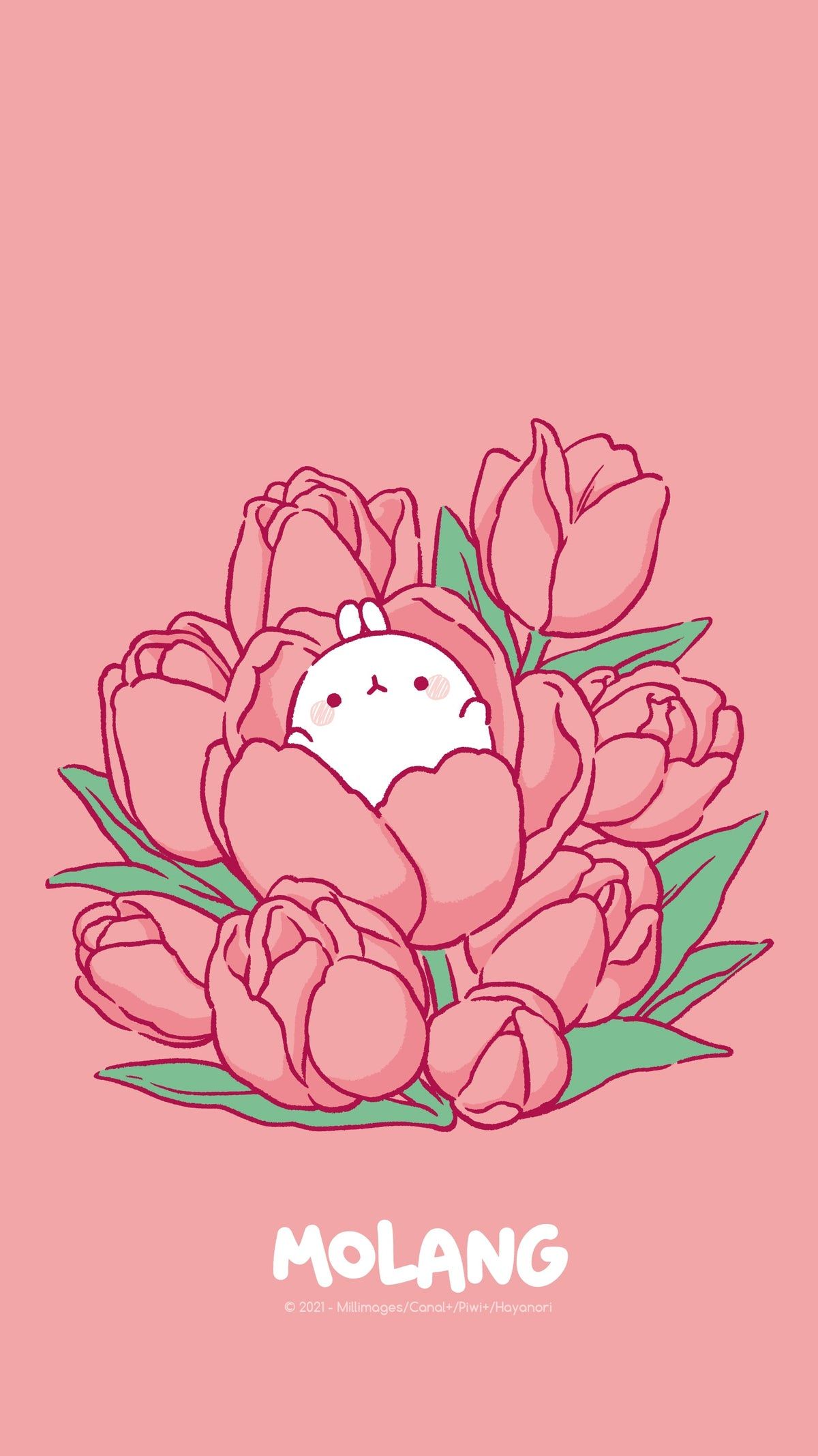 Molang Flower Wallpaper: Discover