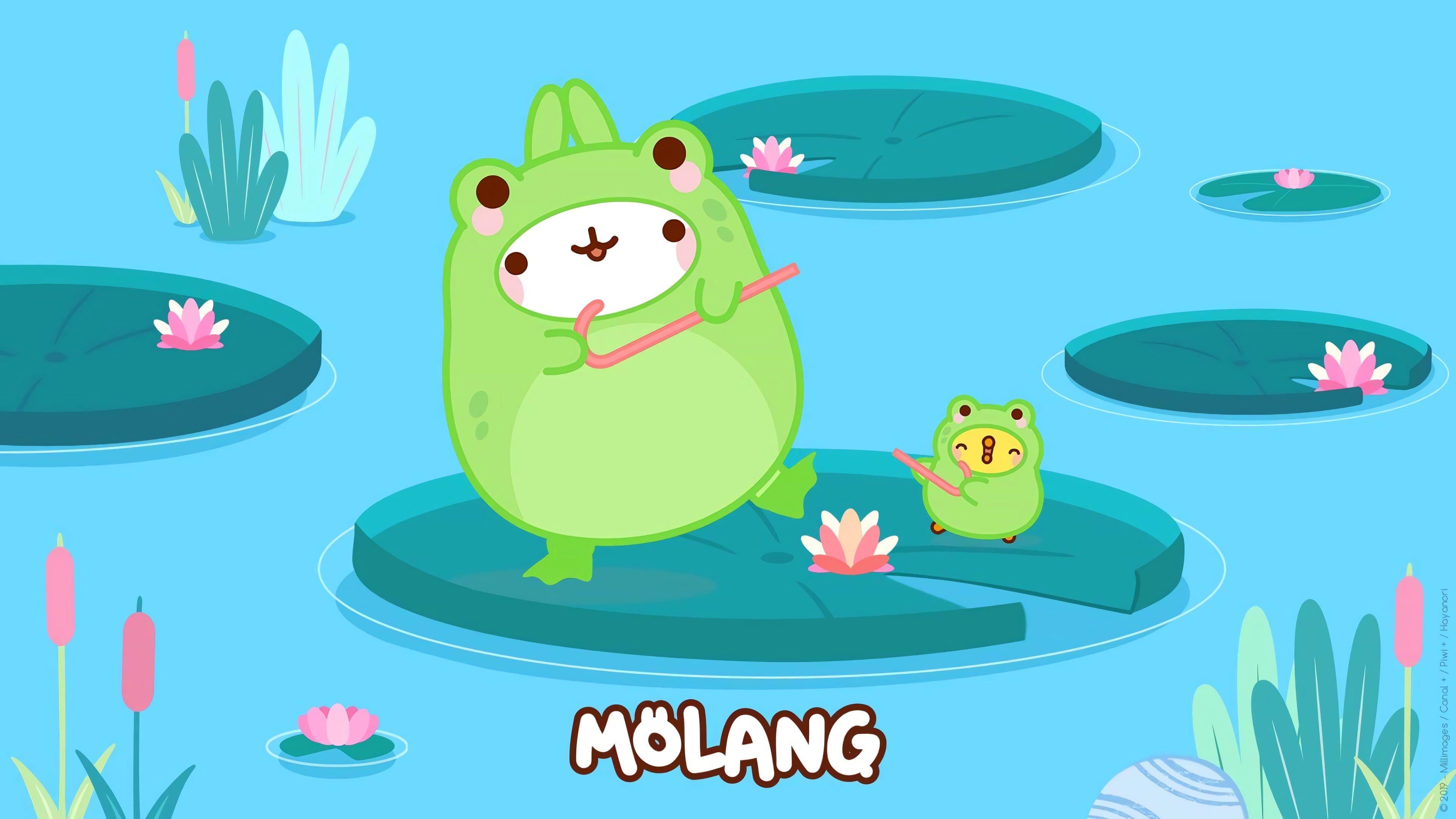 Froggy Molang & Piu Piu Desktop