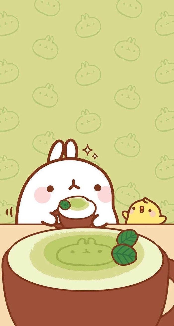 Molang HD Wallpaper 100++