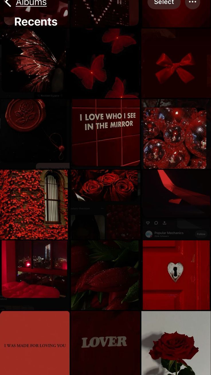 Dark red aesthetic