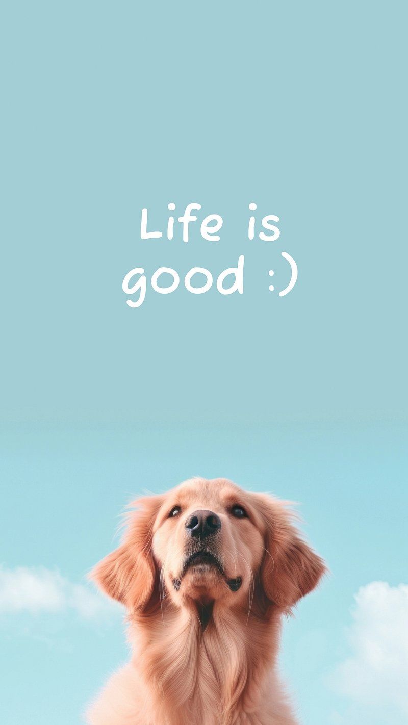 iPhone Wallpaper Dog Image. Free