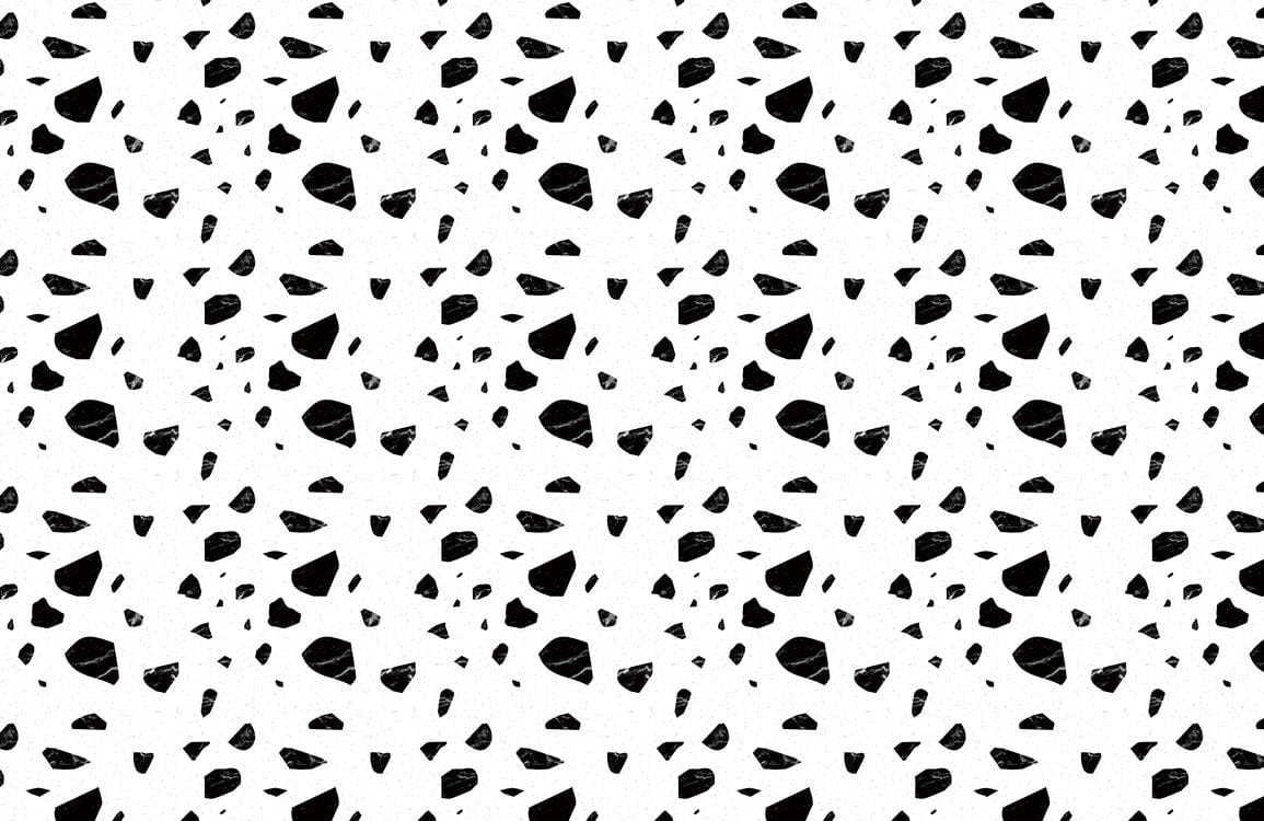 Black & White Terrazzo Wallpaper Mural