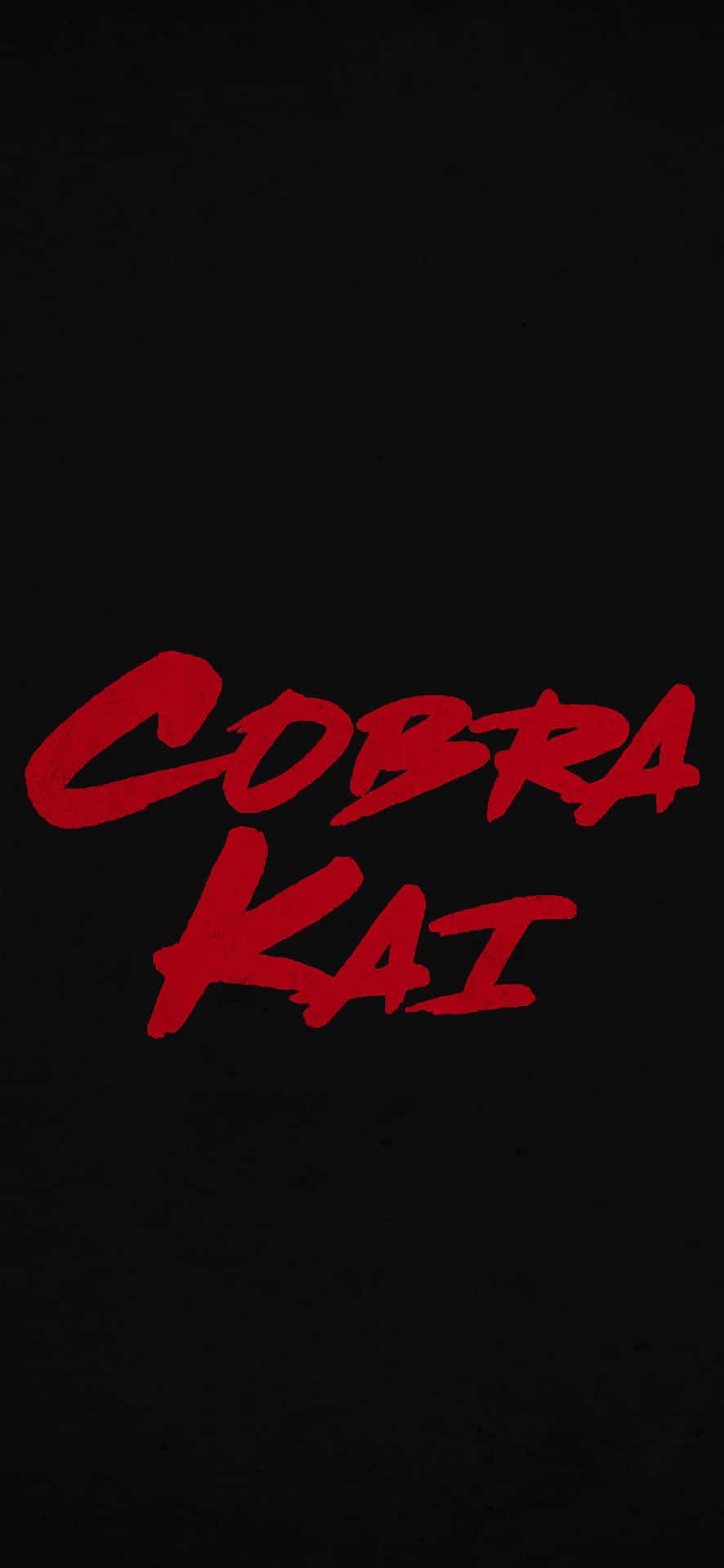 Cobra Kai Phone Background