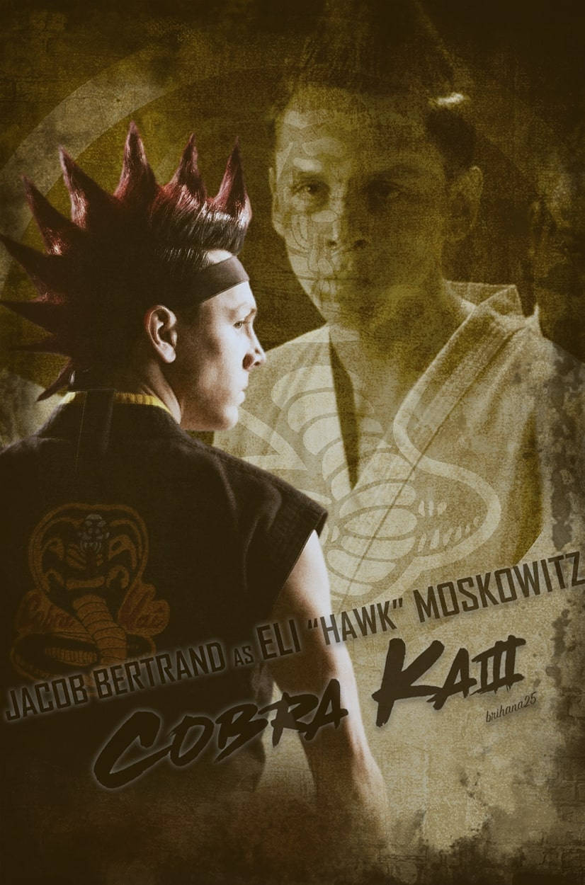 Cobra Kai Wallpaper