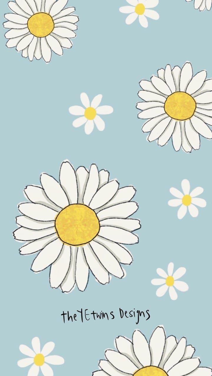 Small and big daisies