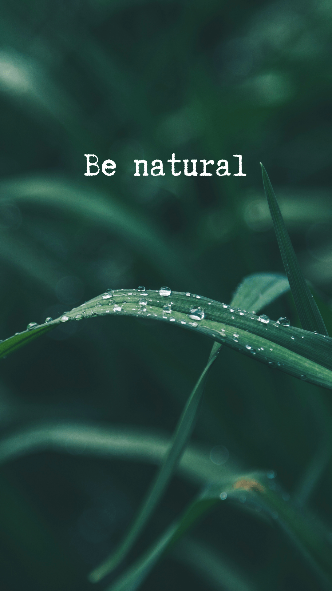 The Best Nature 4K Wallpaper