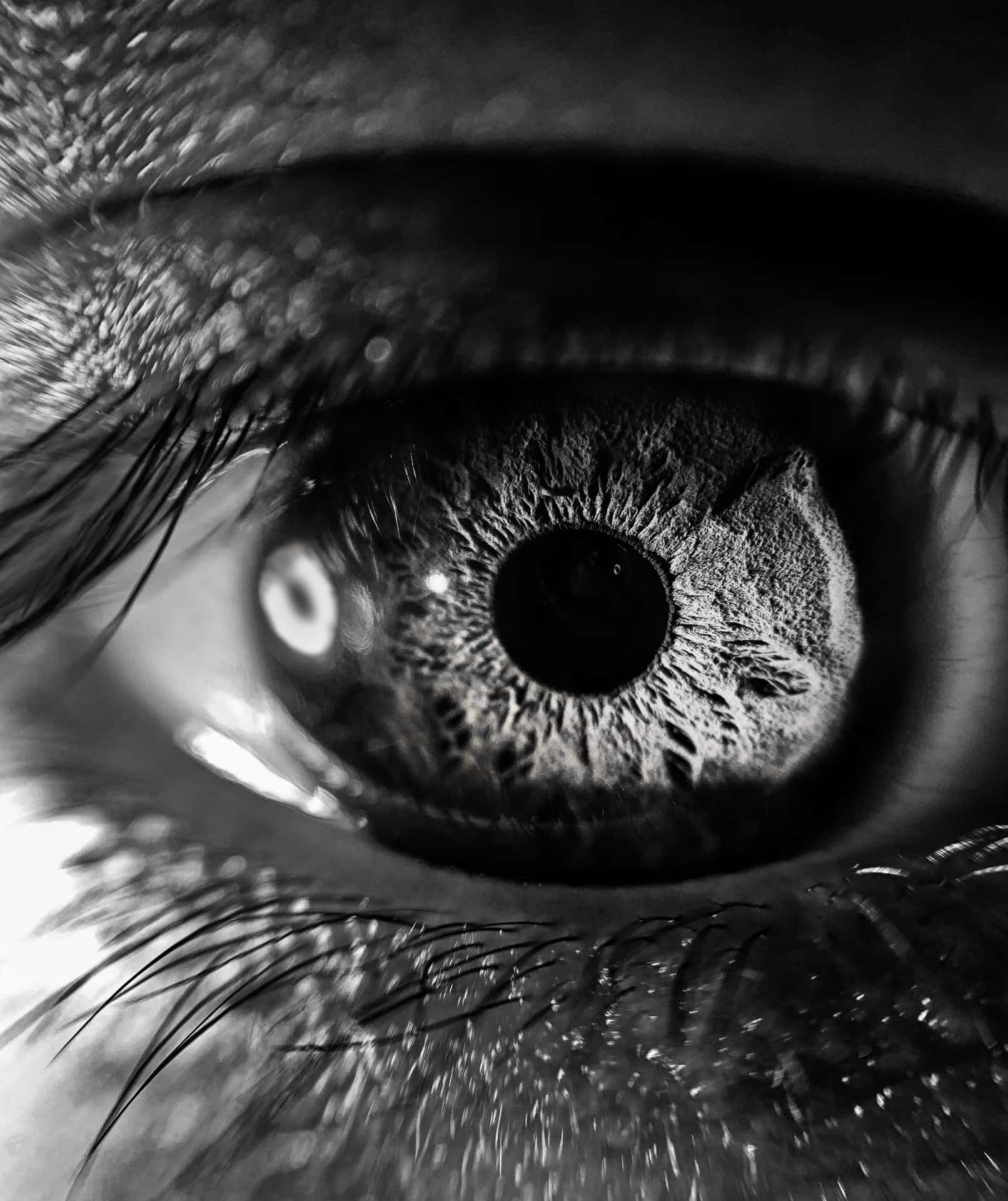 Eye Macro Photography Wallpaper