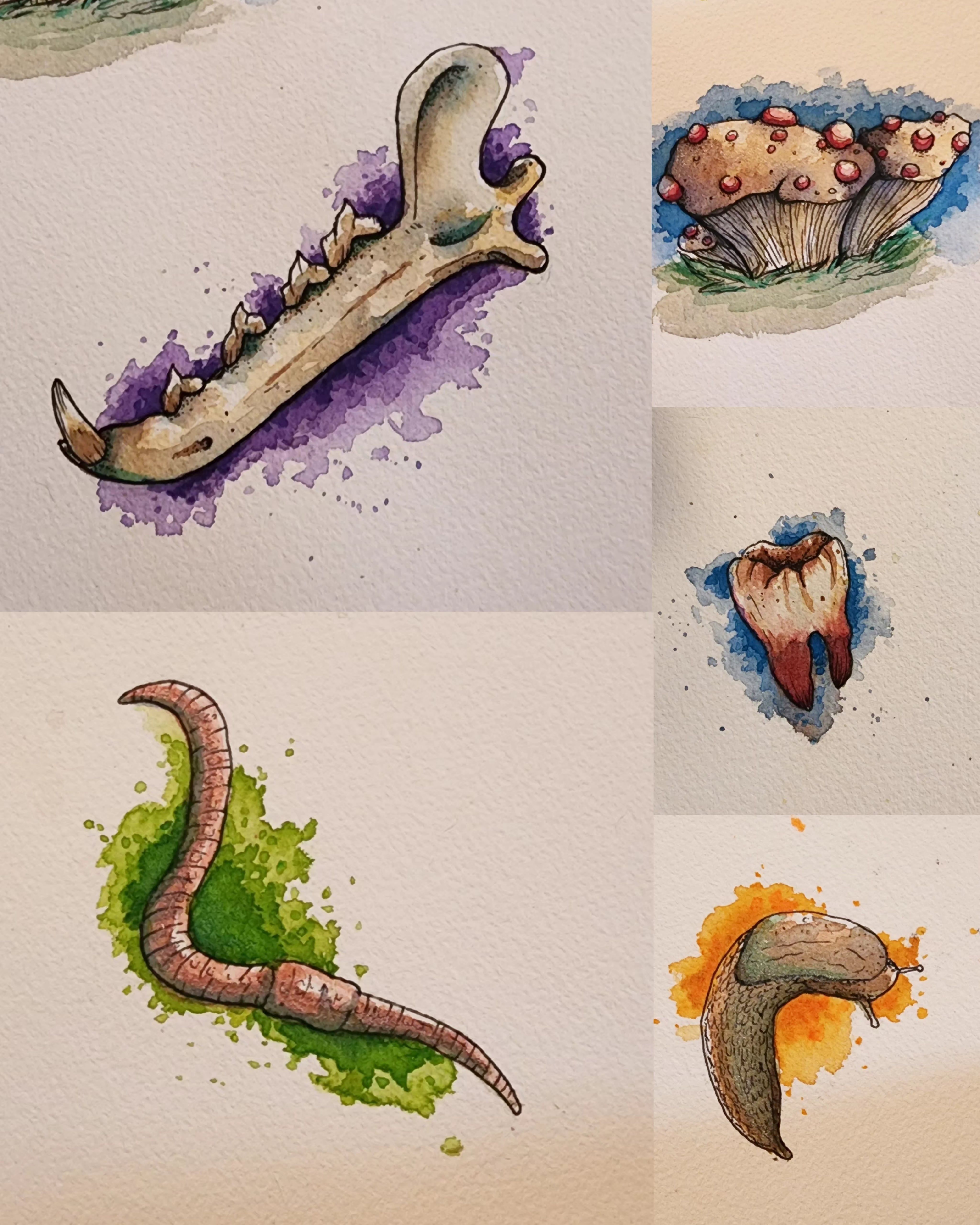 Some lil watercolors I did!