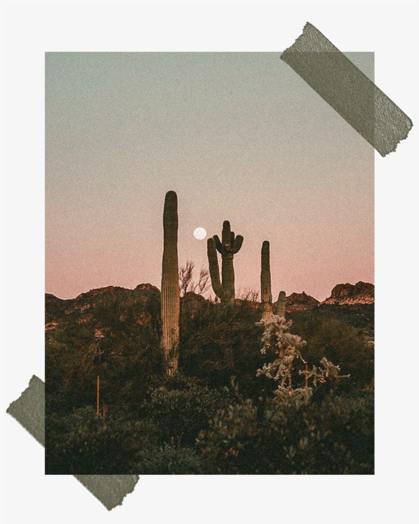 A desert landscape with cacti and a full moon - Cactus, retro