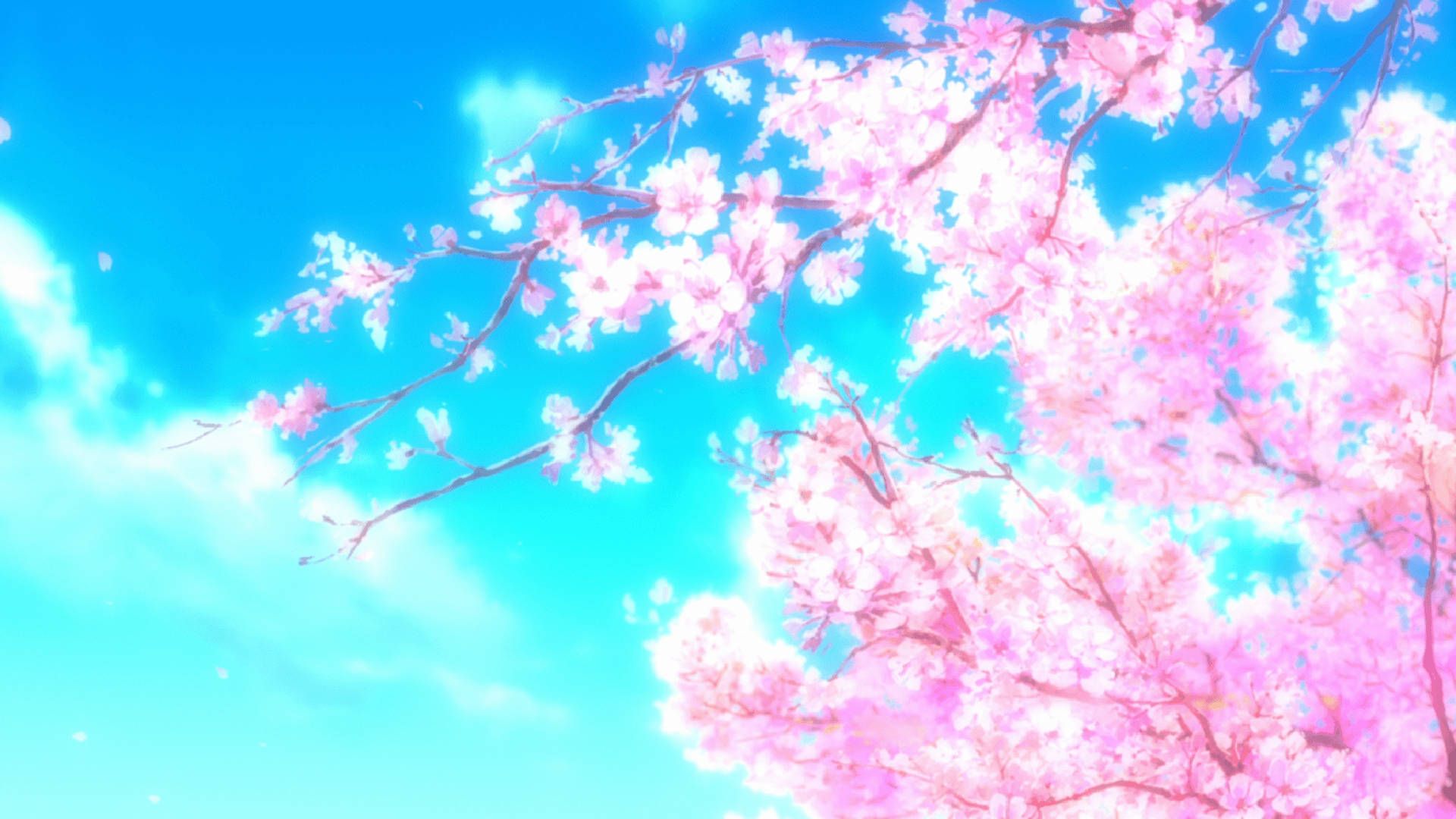 Pink Anime Aesthetic Wallpaper