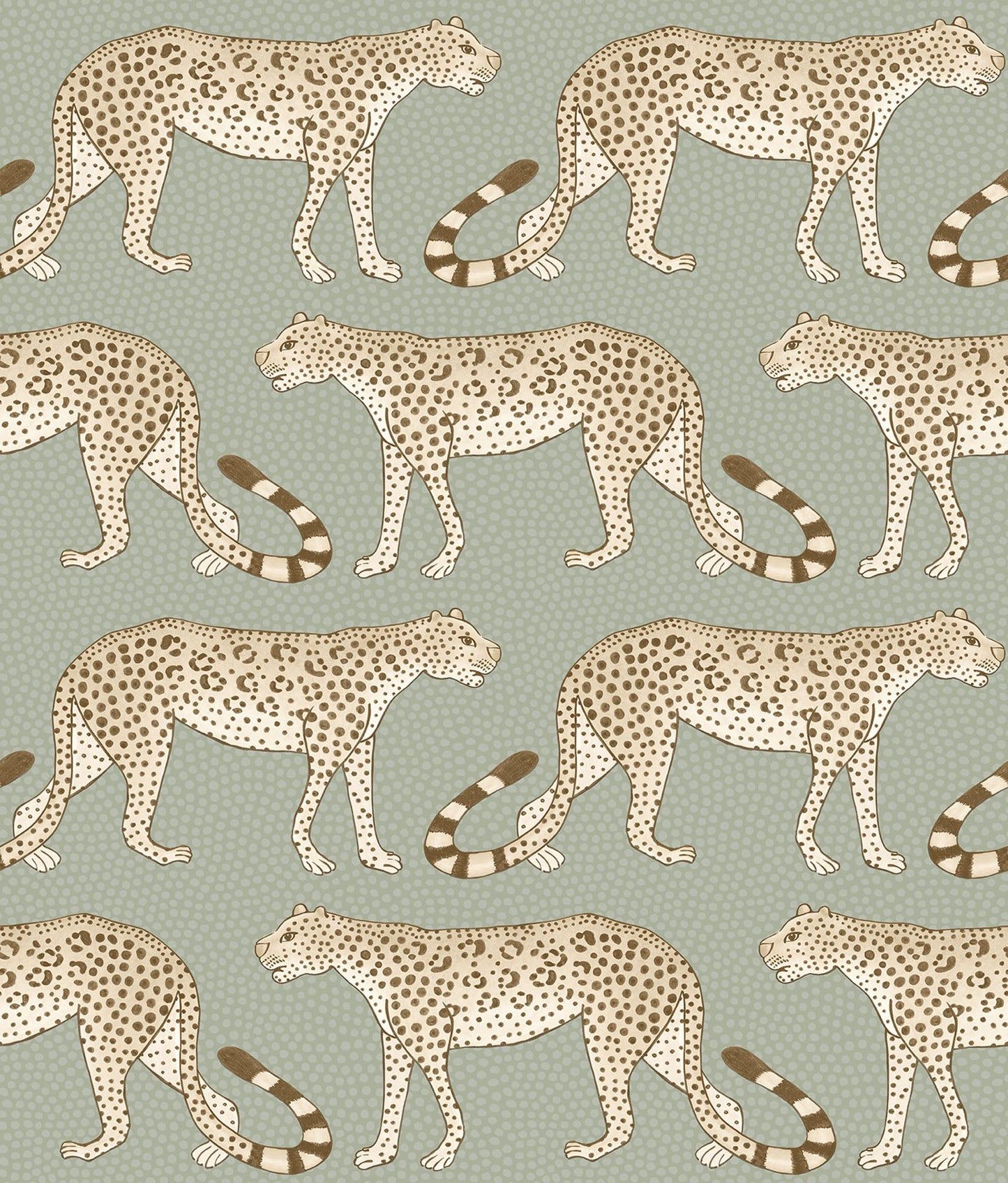 Ardmore Leopard Walk Wallpaper