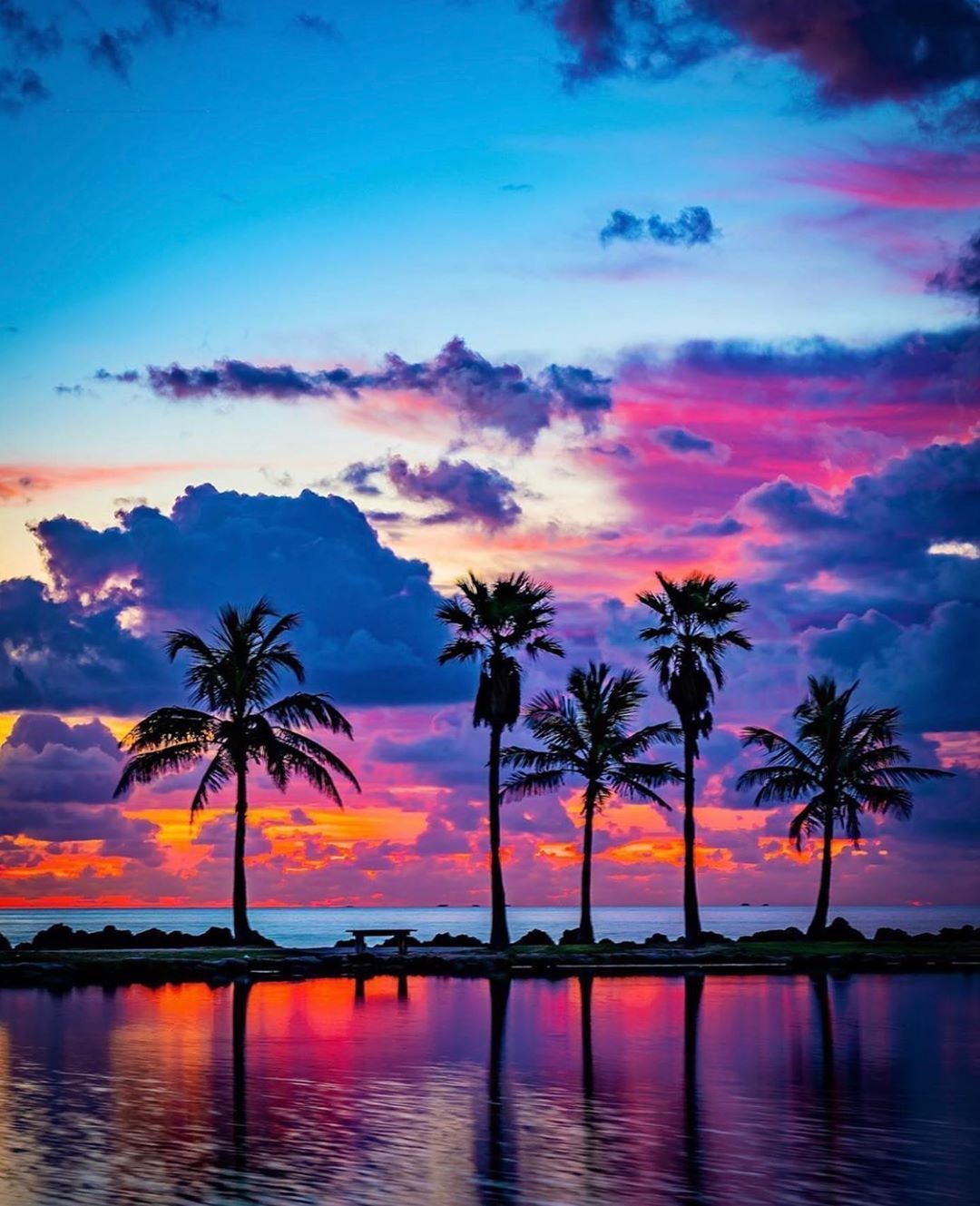 Palm trees in front of a body of water with a sunset in the background - Florida