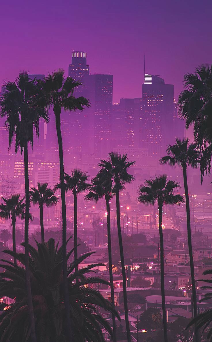 A city skyline with palm trees in the foreground - Florida, Los Angeles