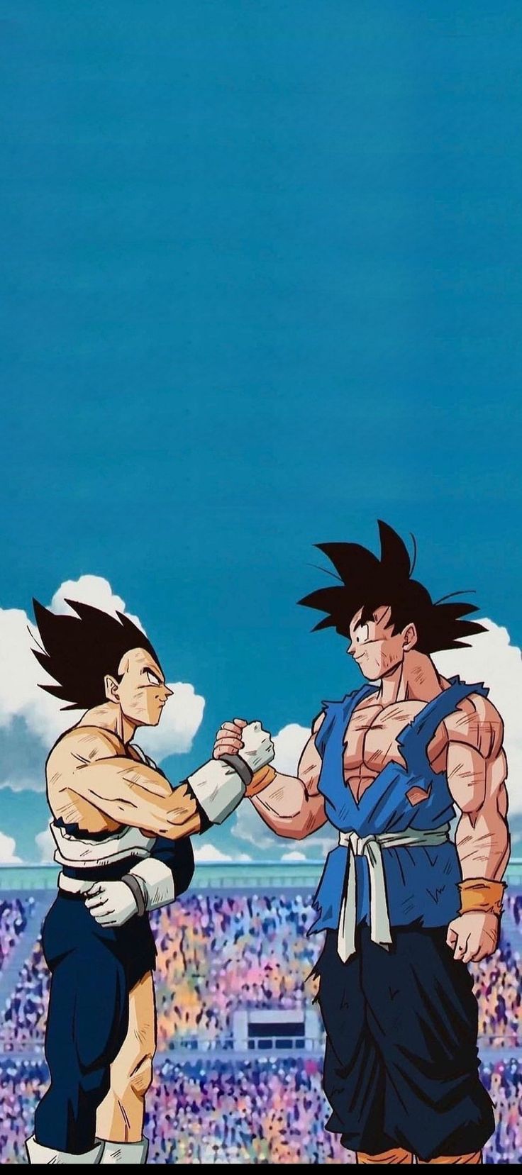 Vegeta & Goku