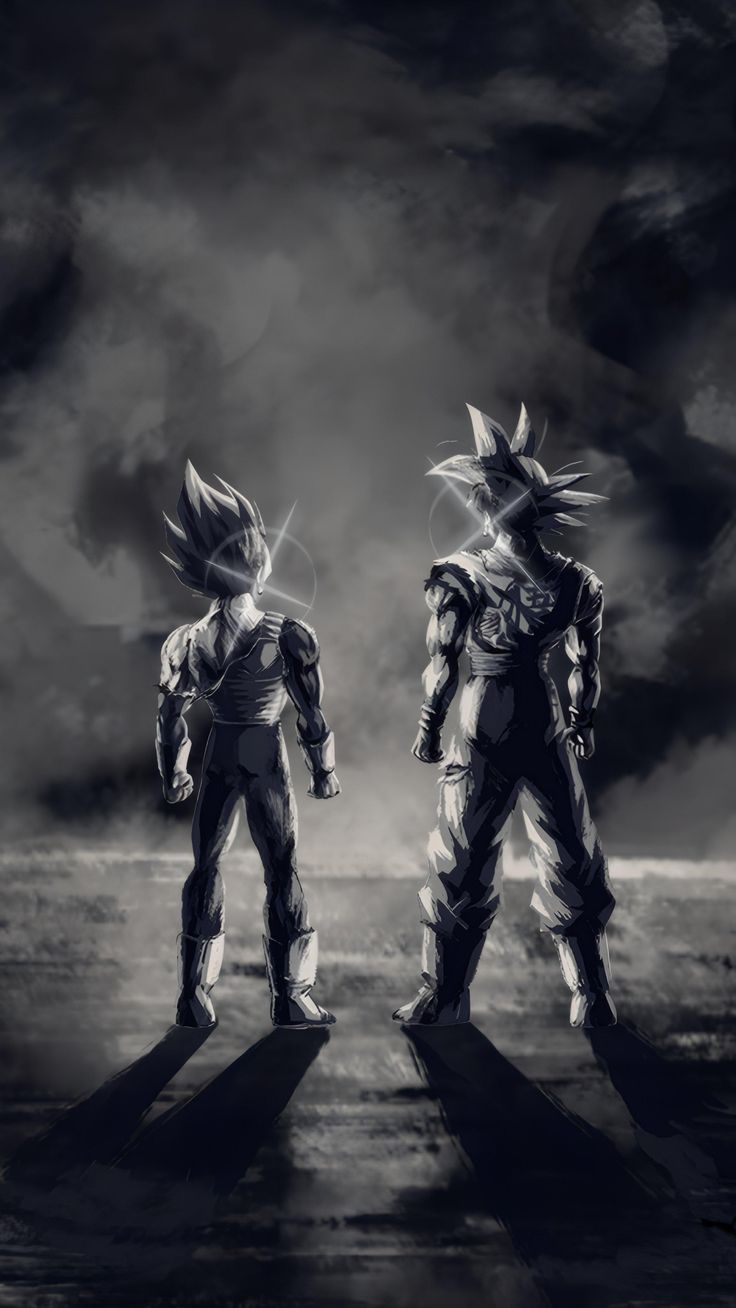 Son Goku x Vegeta