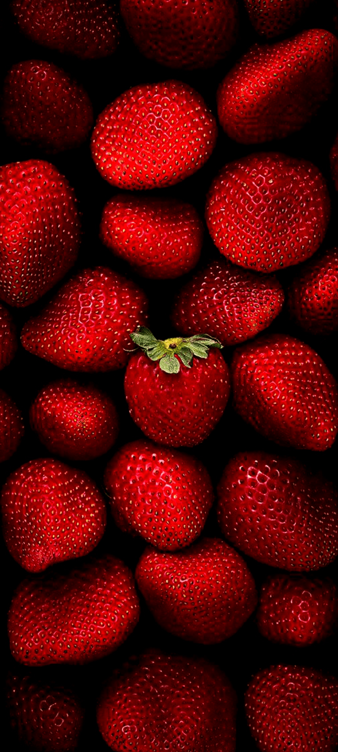 Mobile Food Wallpaper Free