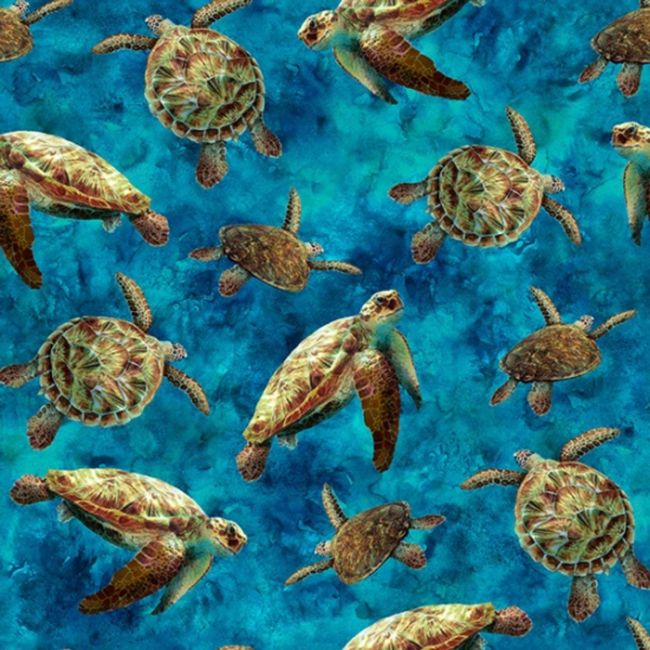 Turquoise Sea Turtles Spectrum Print