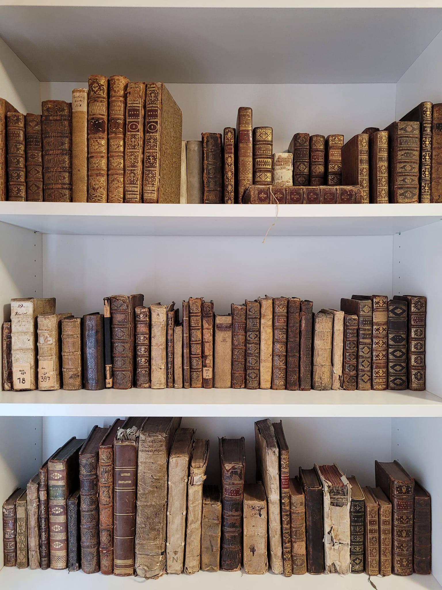 books and manuscripts