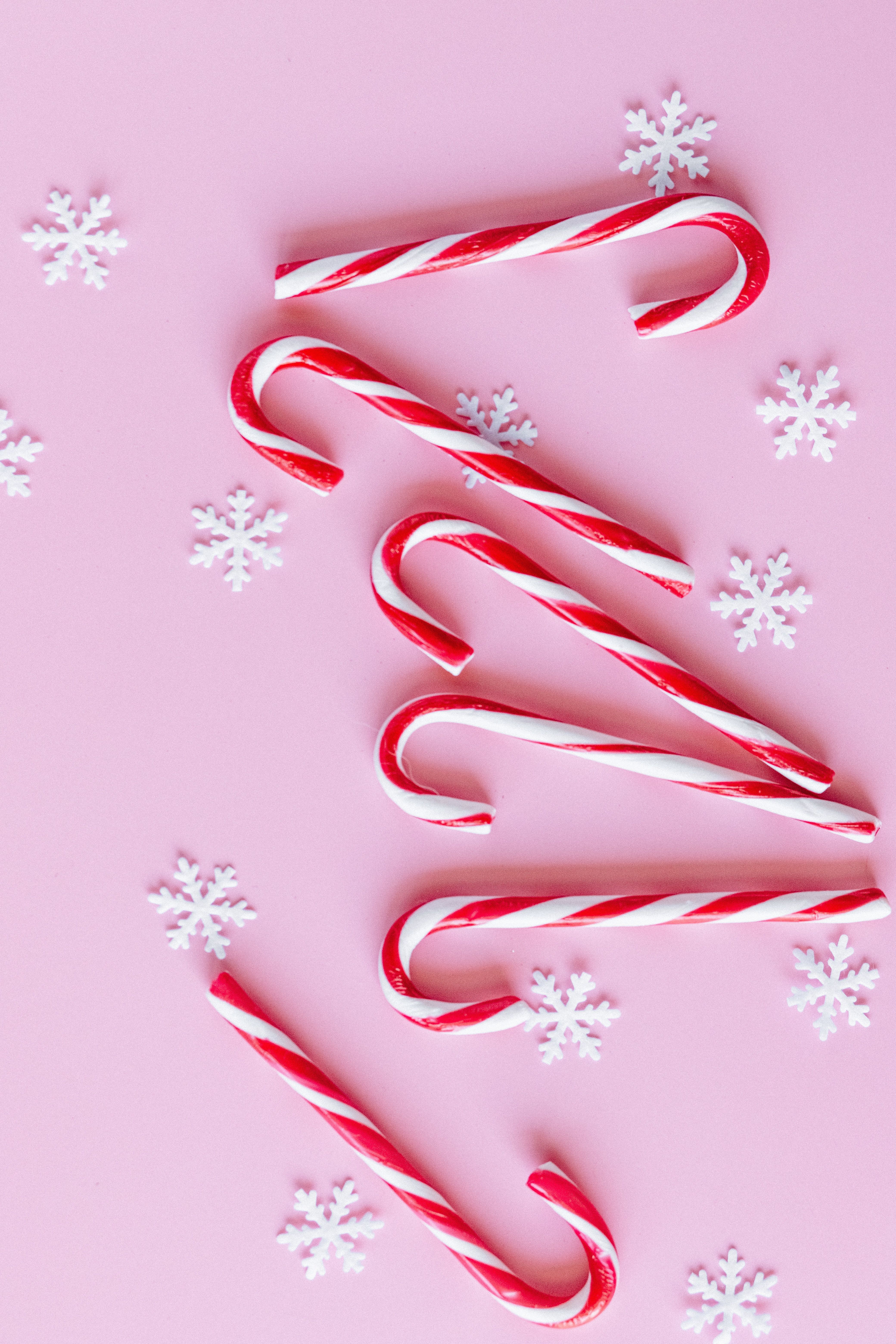 White and Red Candy Canes on Pink Background · Free