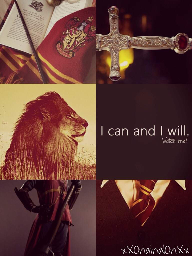 ❤️Gryffindor Aesthetic❤️. Harry Potter