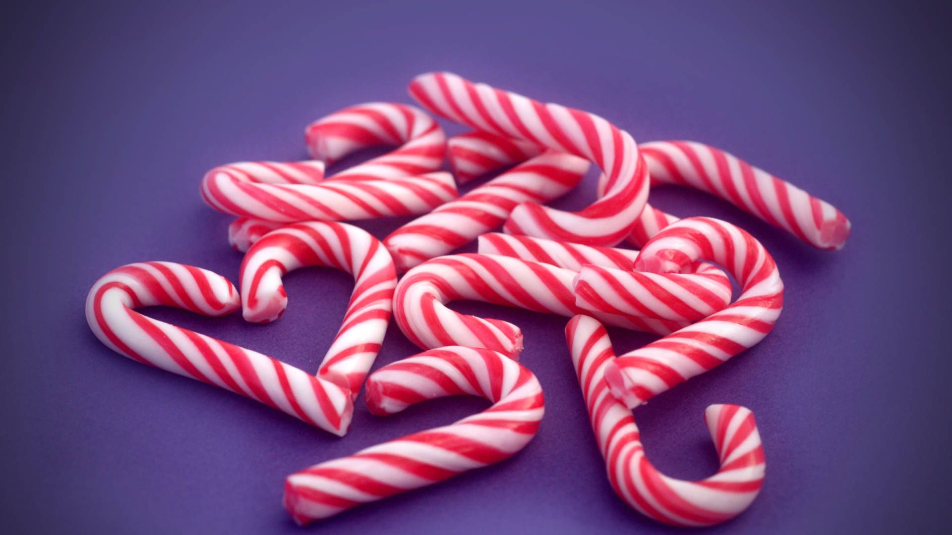 Candy canes on a purple background - Candy cane