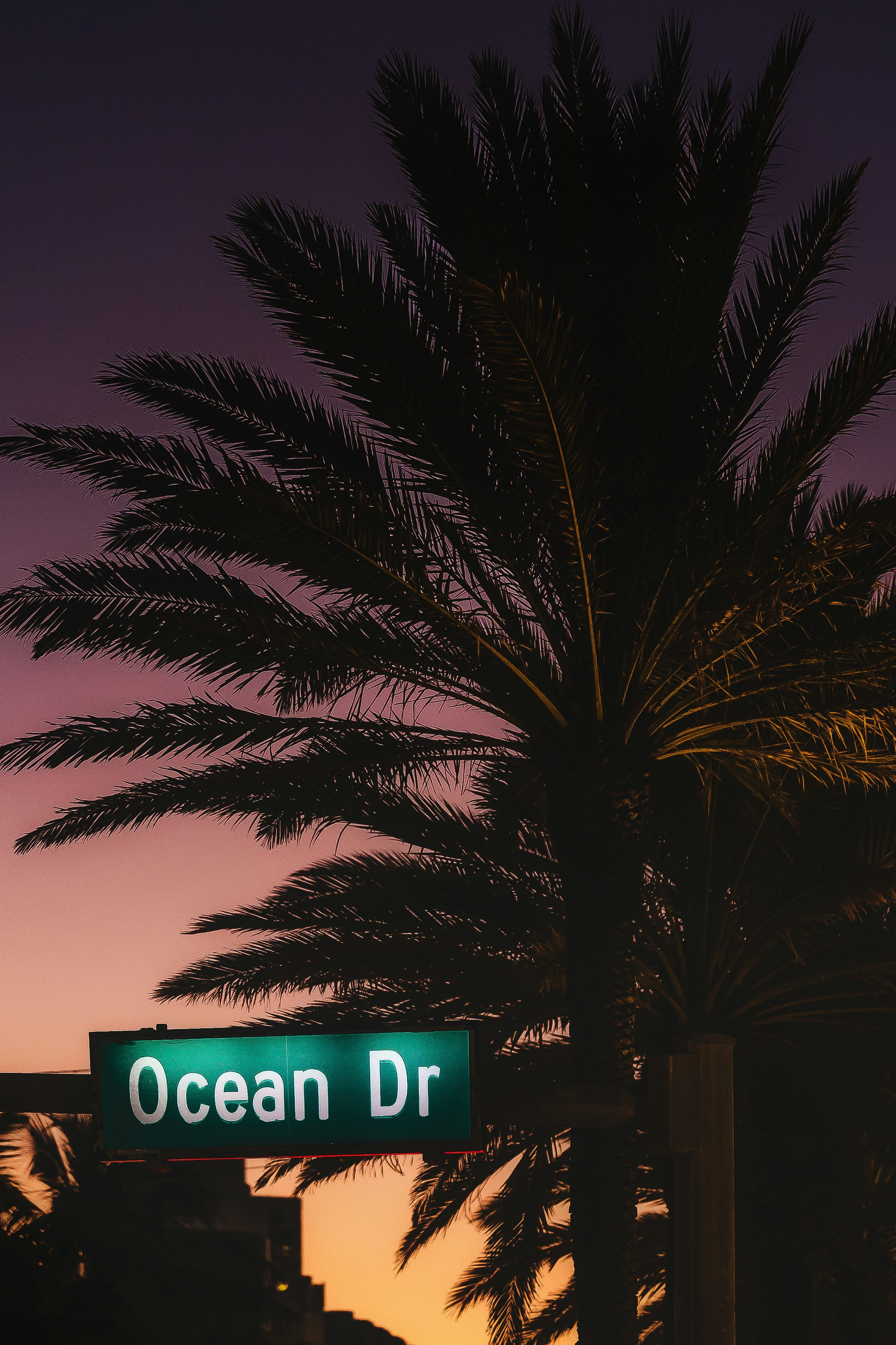 Miami Street Picture. Download Free