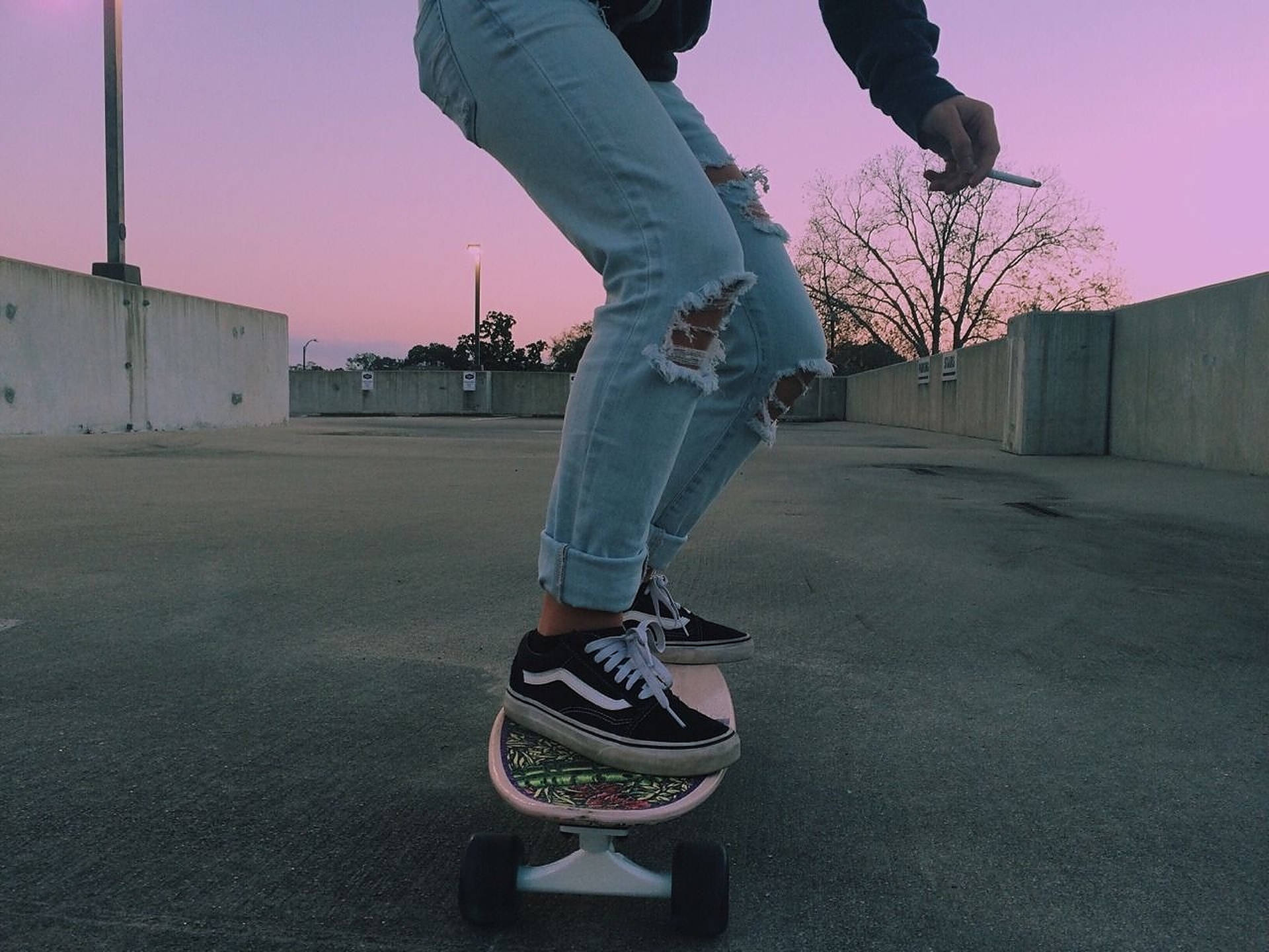 Skater Boy Pink Skies Aesthetic