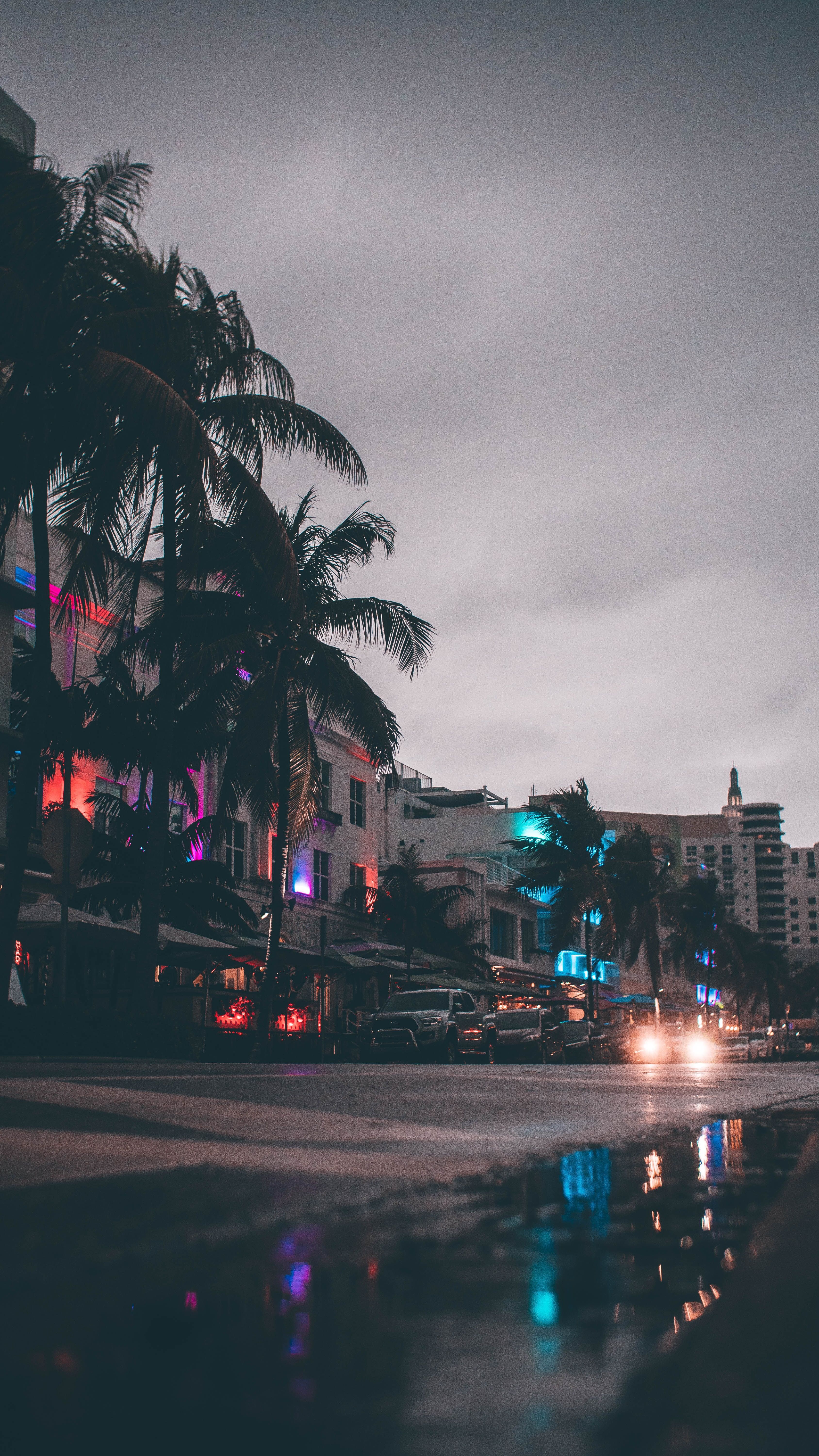 A street view of a city with palm trees and neon lights. - Miami