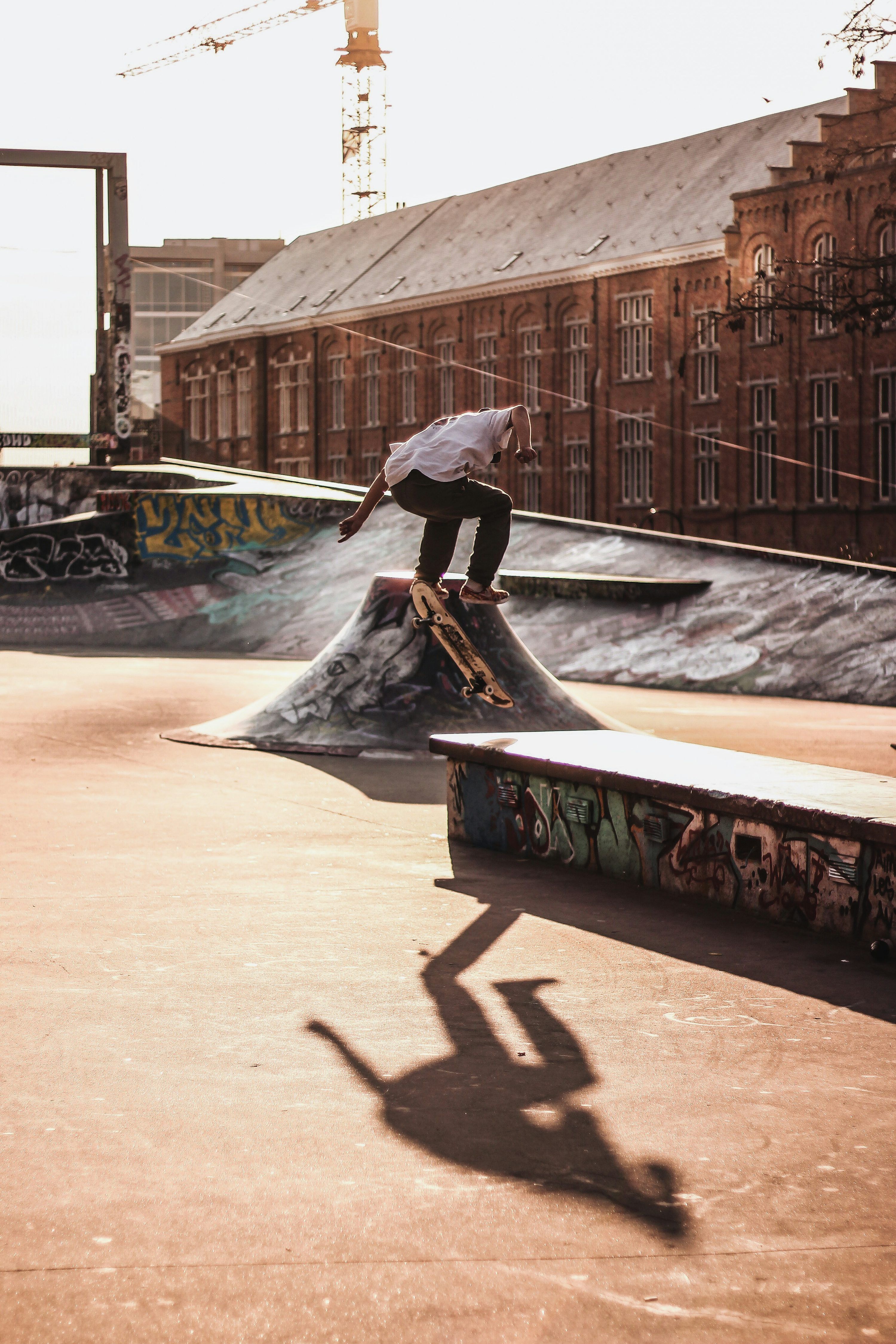 Skate Picture. Download Free