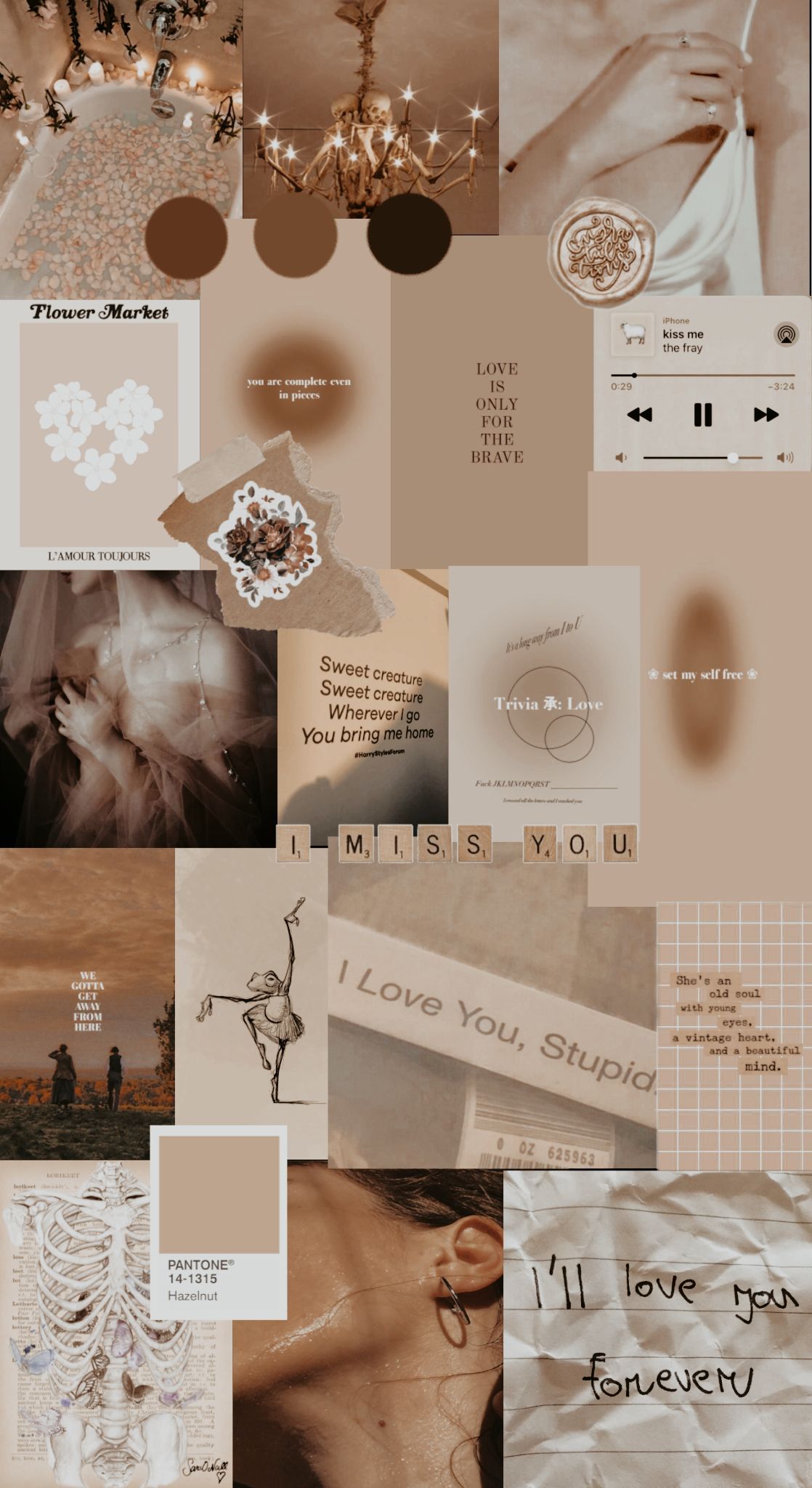 Light brown aesthetic