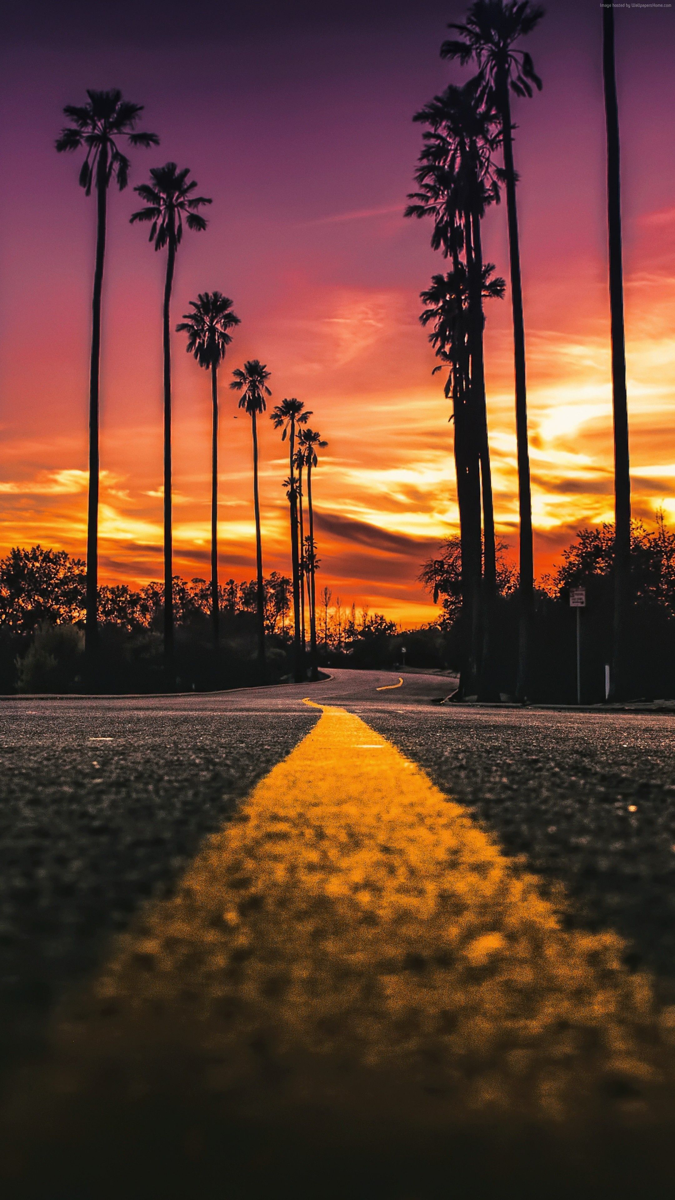 Awesome Miami iPhone Wallpaper. California wallpaper, Sunset wallpaper, Summer nature photography