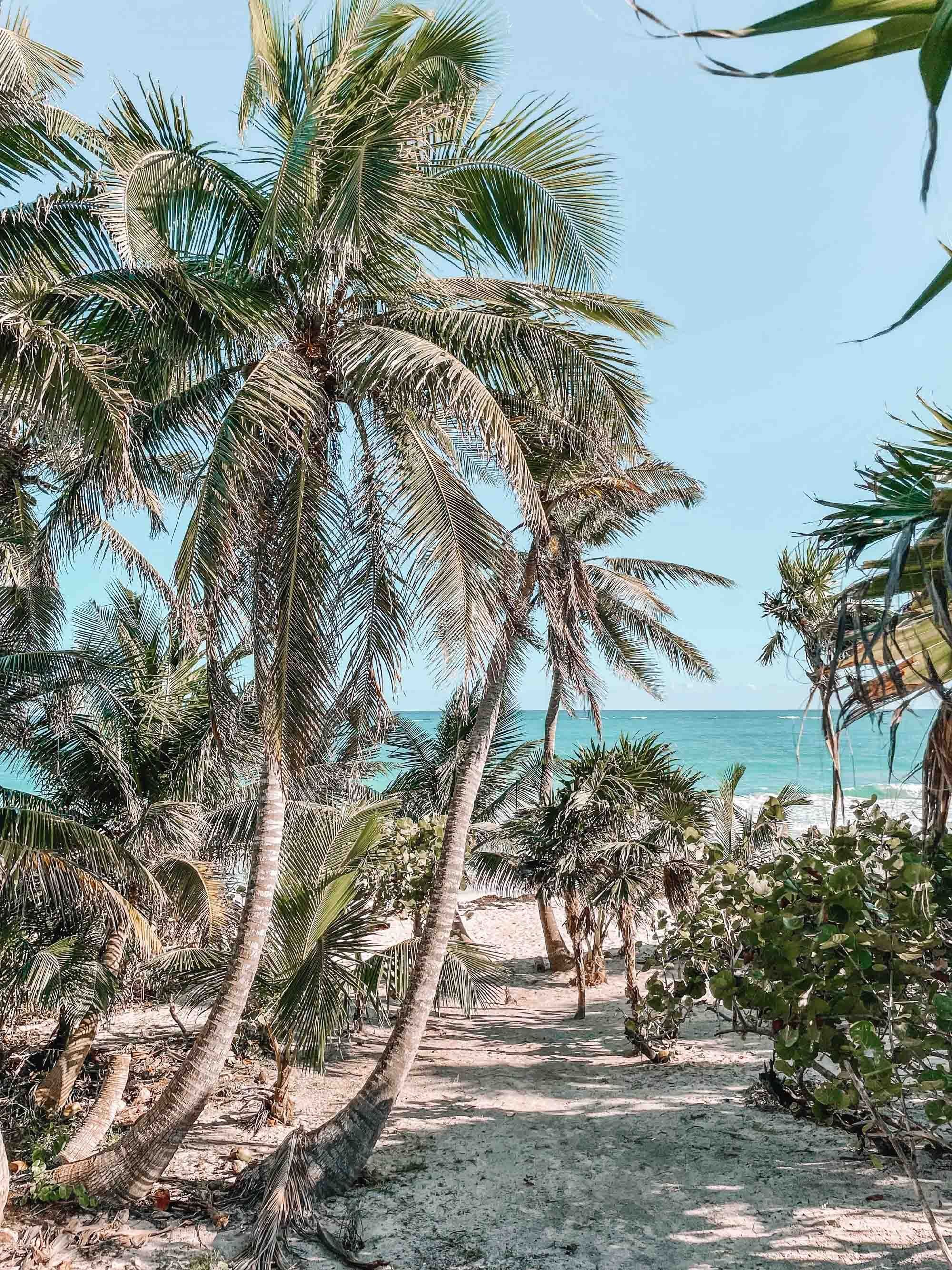 The Best Tulum Travel Guide