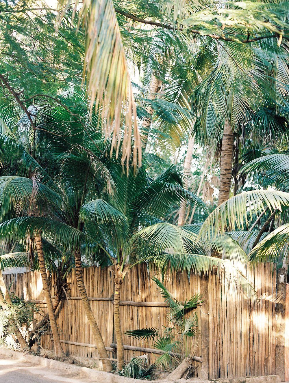 Bohemian Natural Luxury of Tulum, Mexico