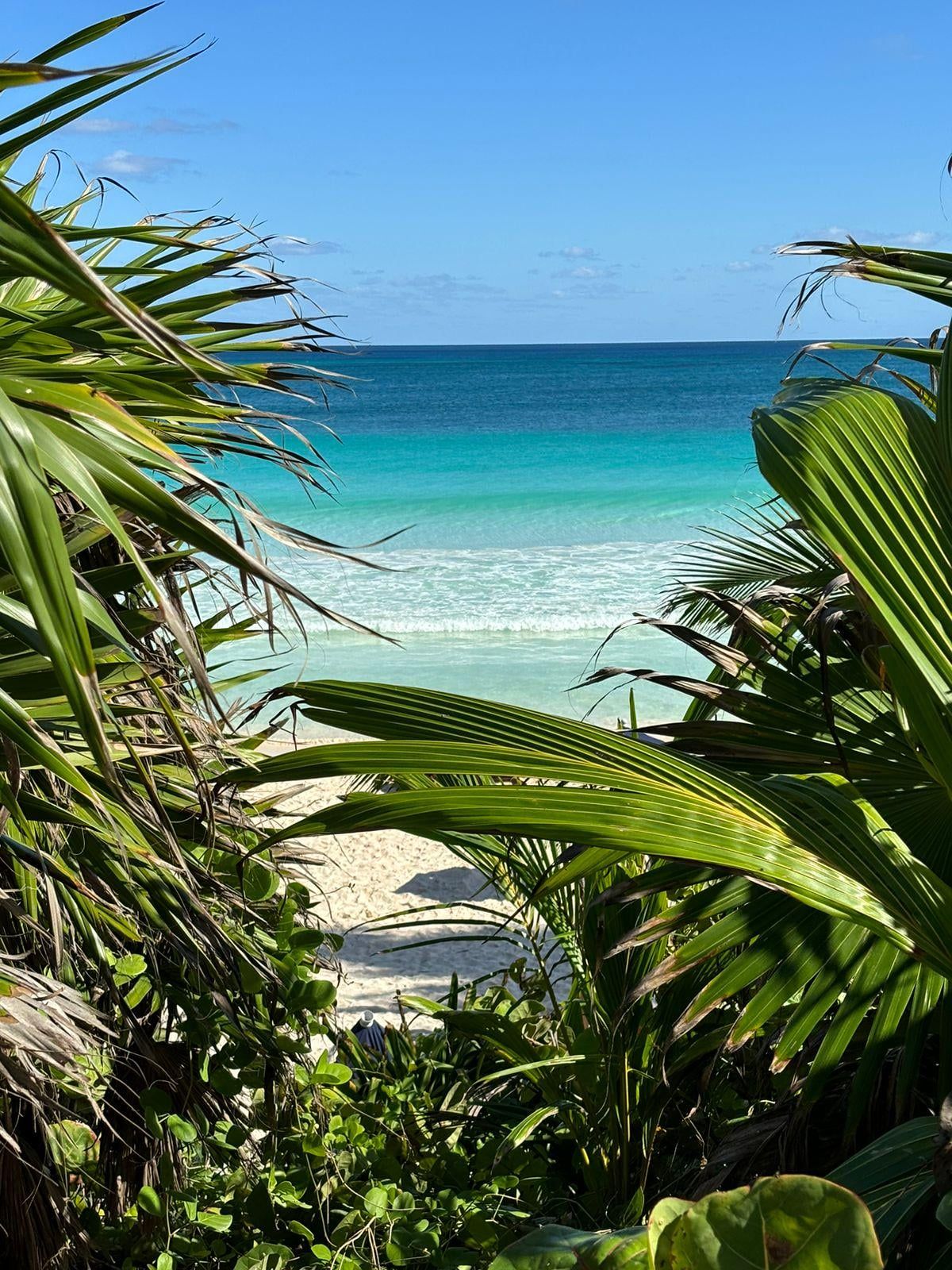 Tulum beach is absolutely insane