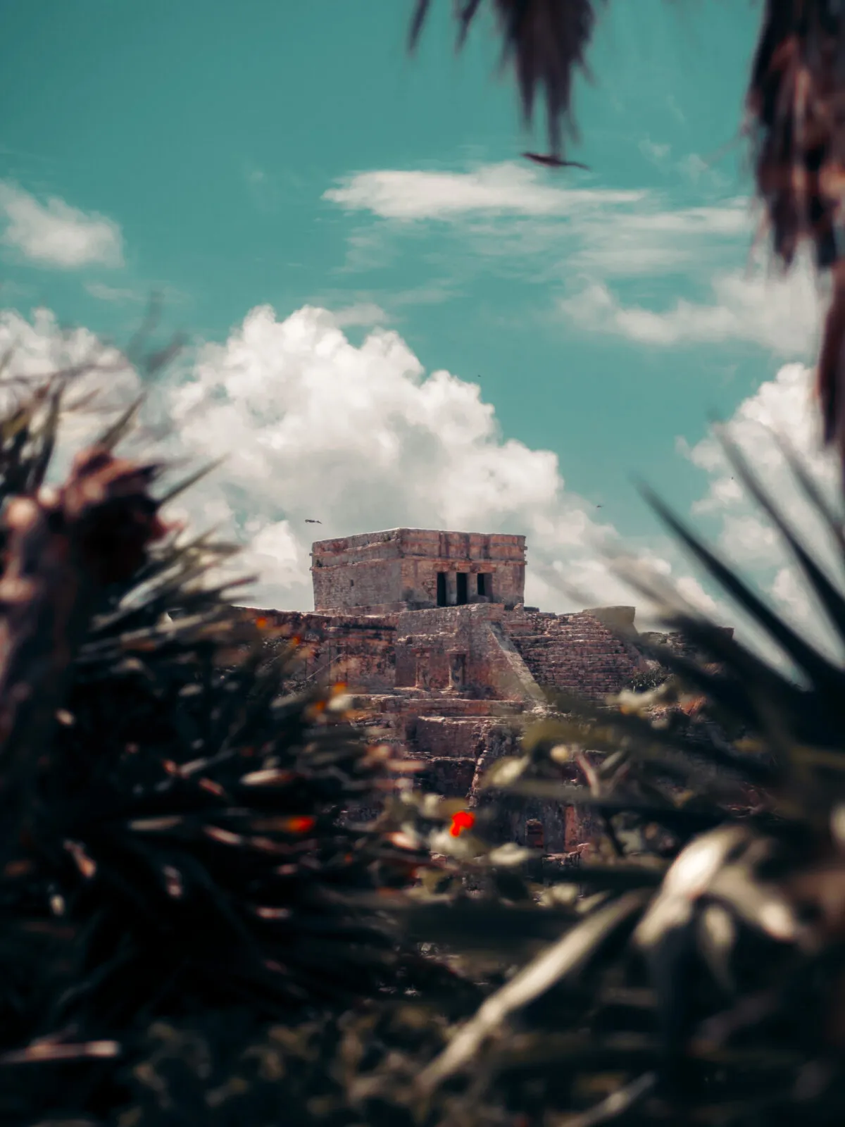 Best Things To Do In Tulum. Travel