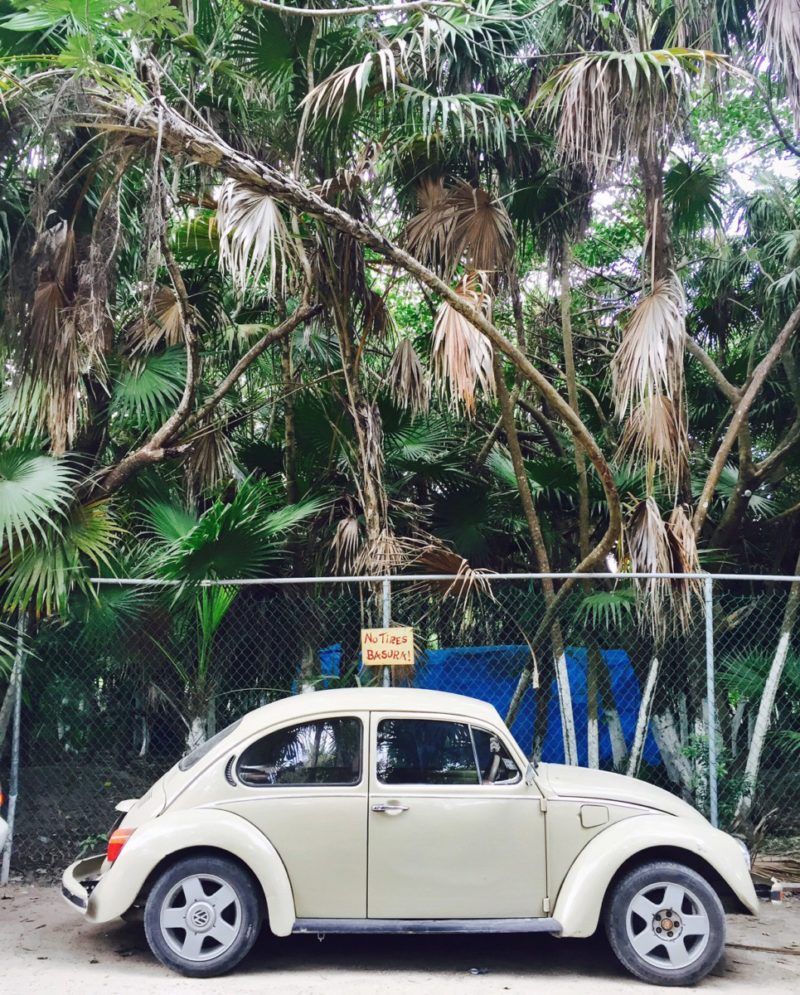 Tulum Travel Diary: The Jungle. Little