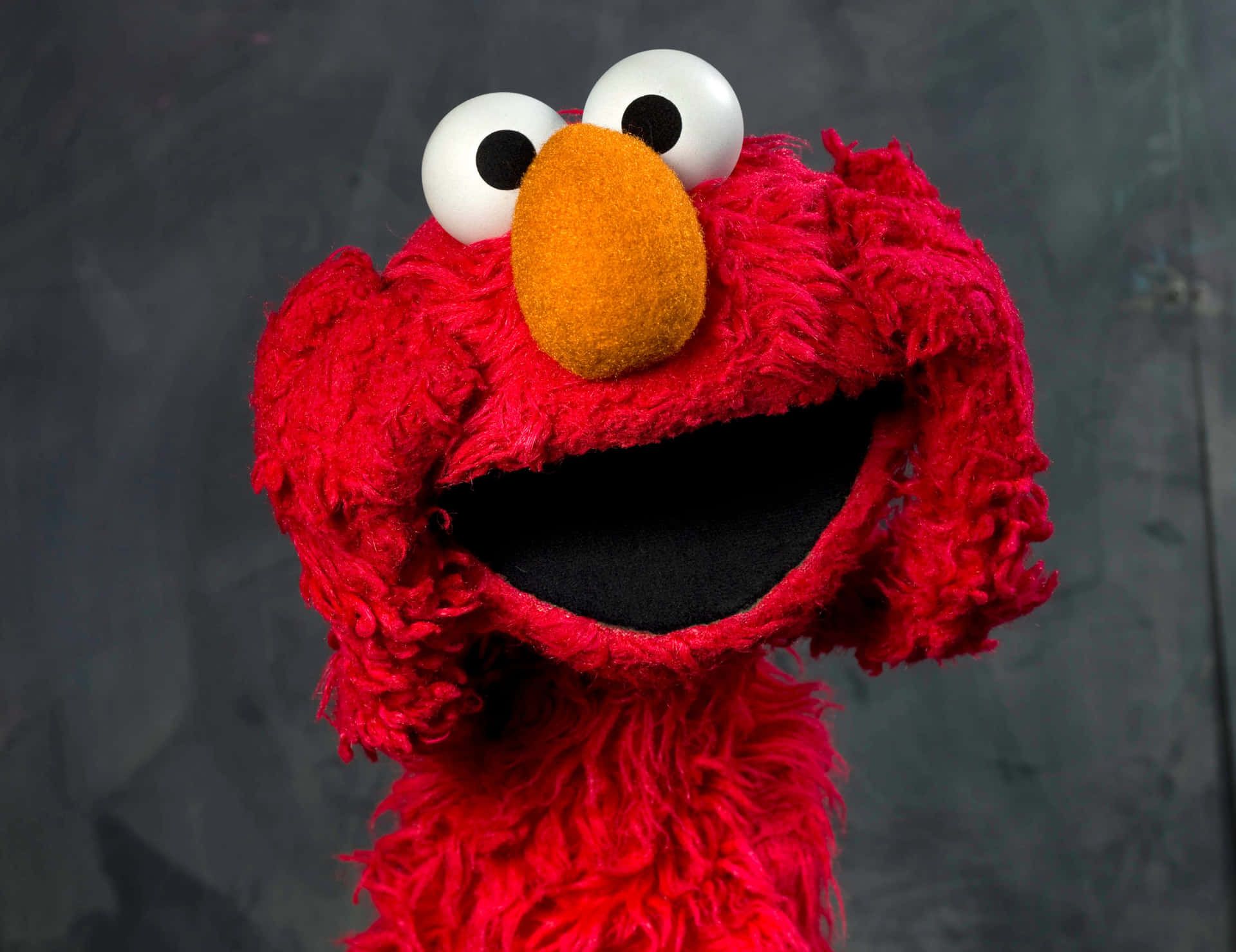 Funny Elmo Picture