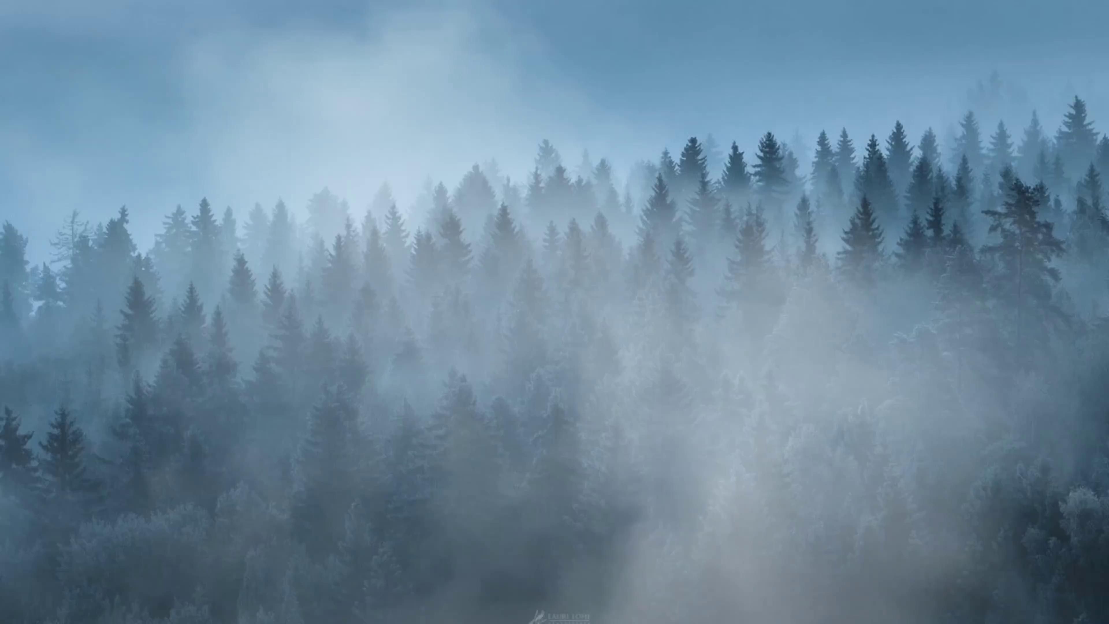 Morning Fog Animated Wallpaper