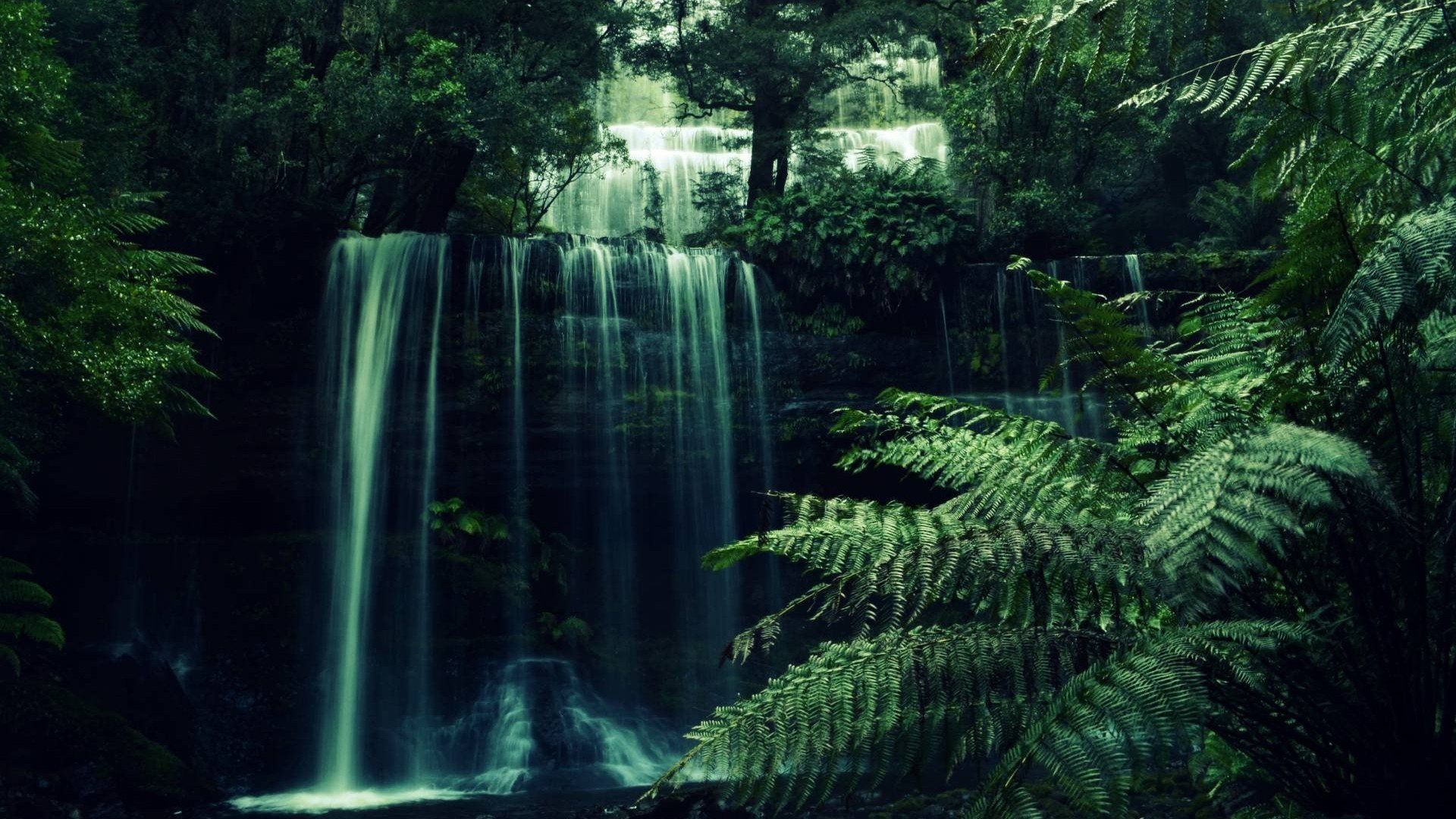 Download Nature Waterfall HD Wallpaper